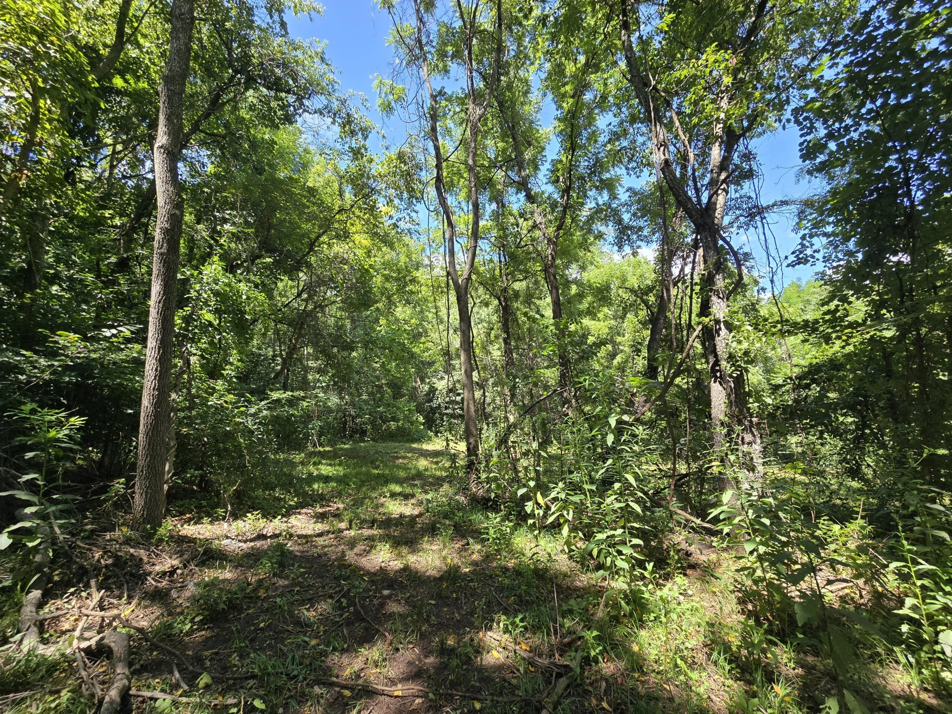 TBD Main ST - Photo 22
