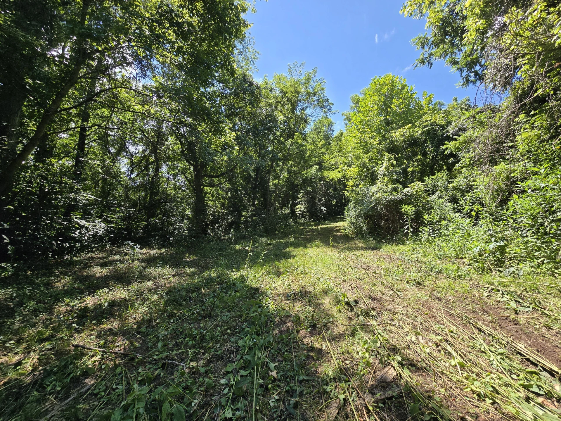 TBD Main ST - Photo 23