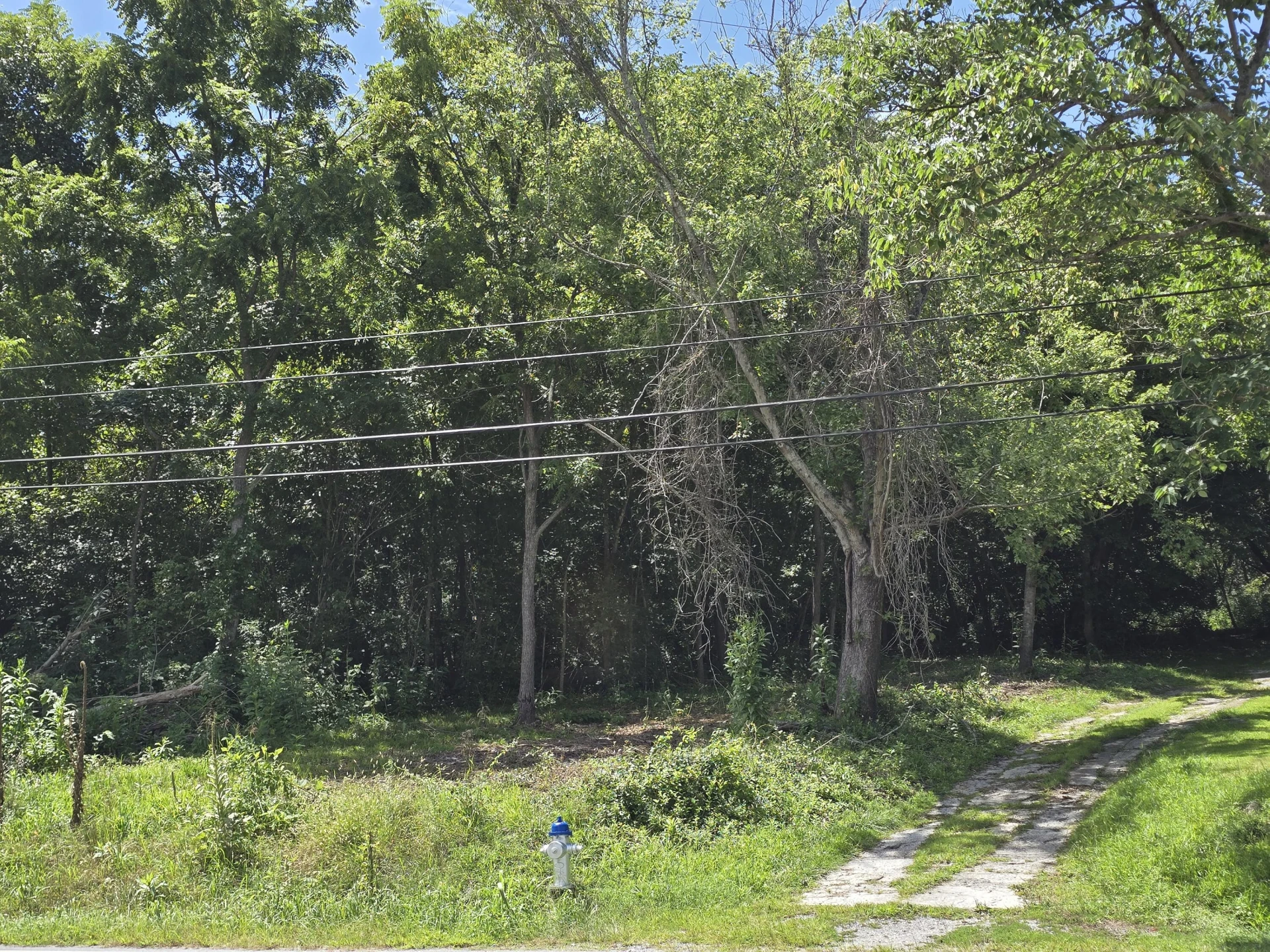 TBD Main ST - Photo 24
