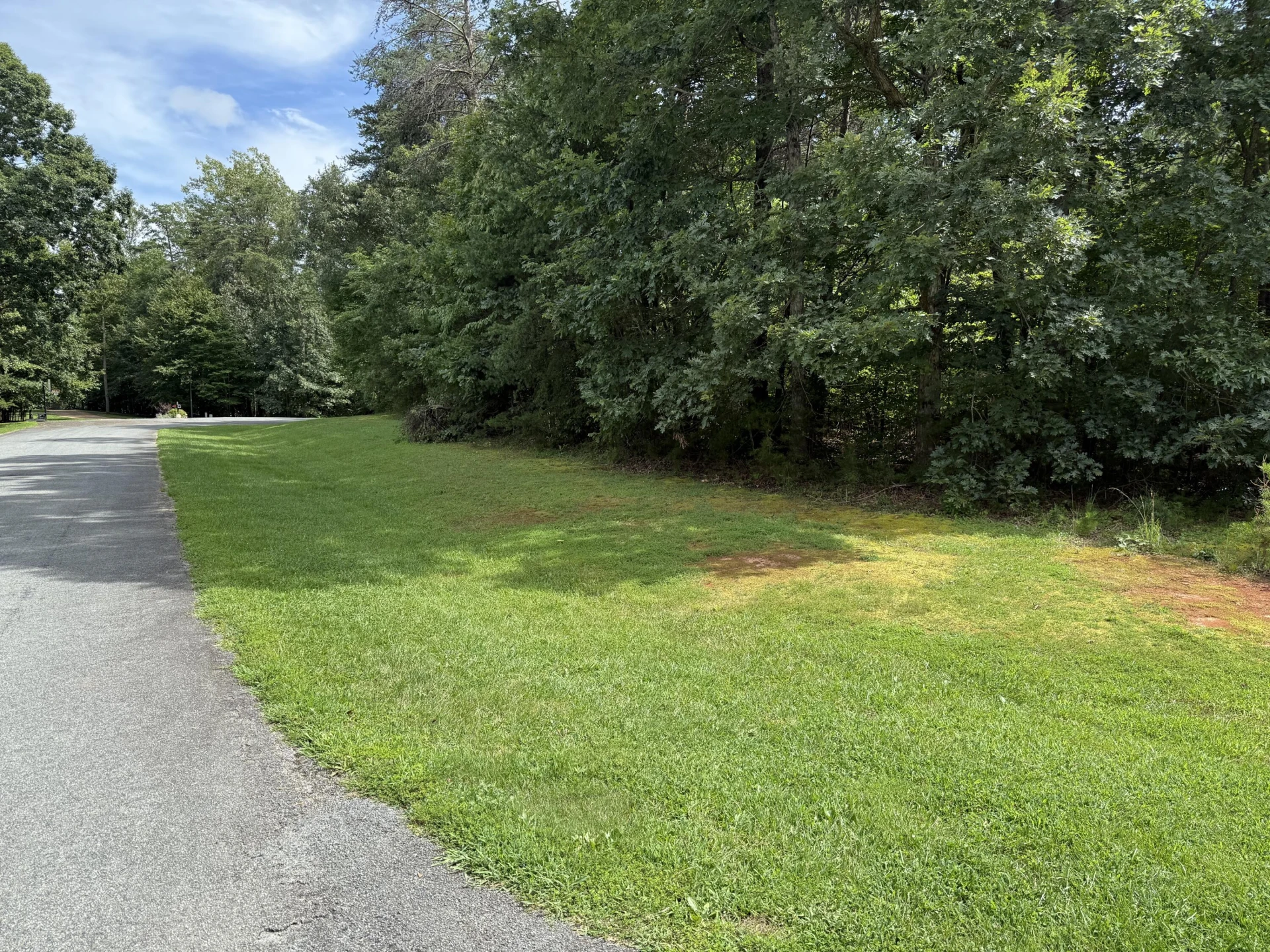 LOTS 27-29 WOODS EDGE DR - Photo 4