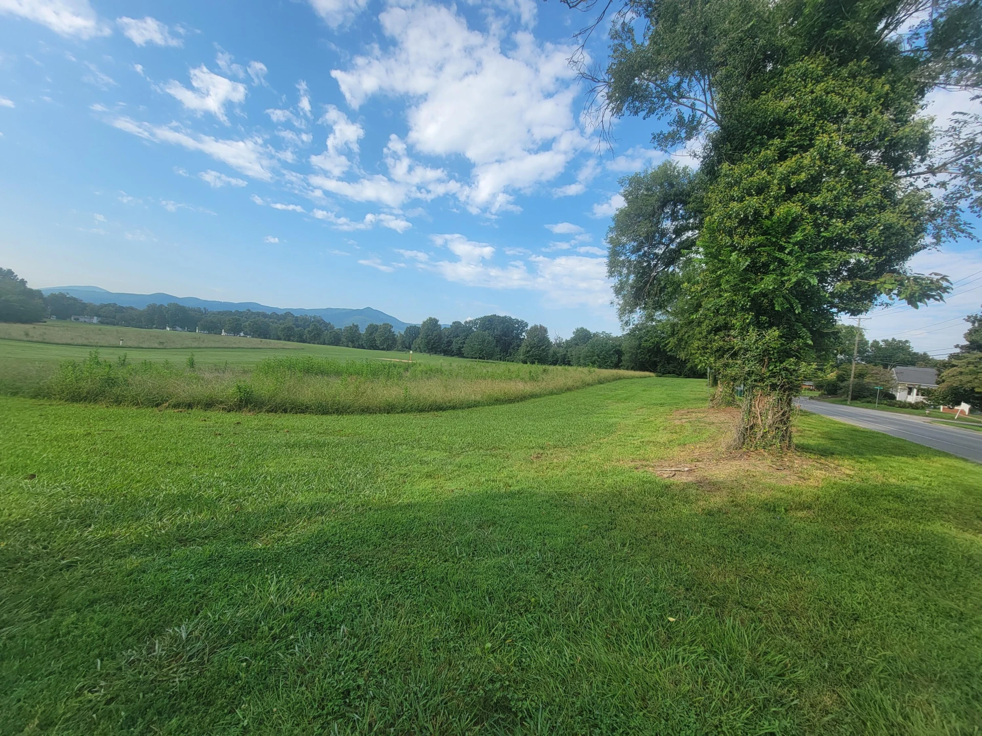 227 Carrollton AVE - Photo 49