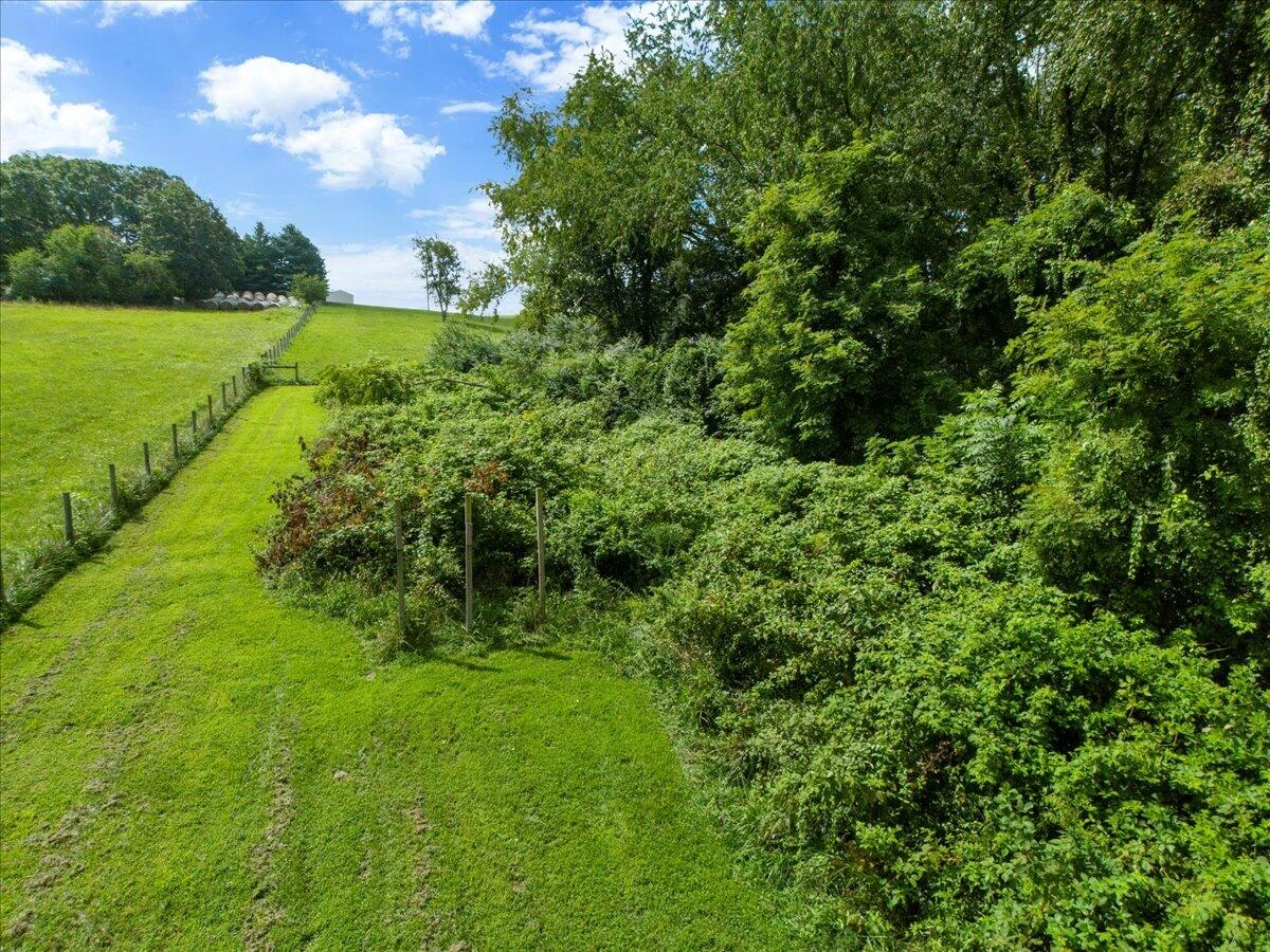 4831 Black Hollow RD - Photo 46