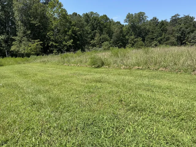 Lot 1 Red Barn LN, Wirtz, VA, 24184