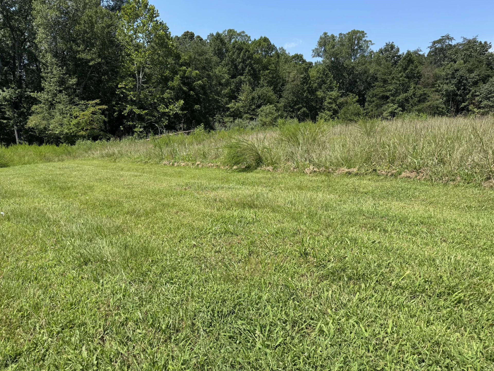 Lot 1 Red Barn LN