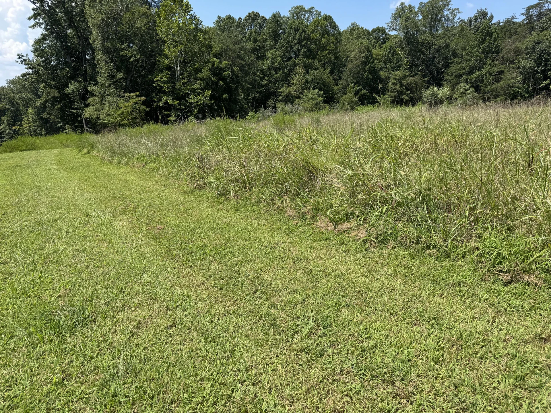 Lot 1 Red Barn LN - Photo 3