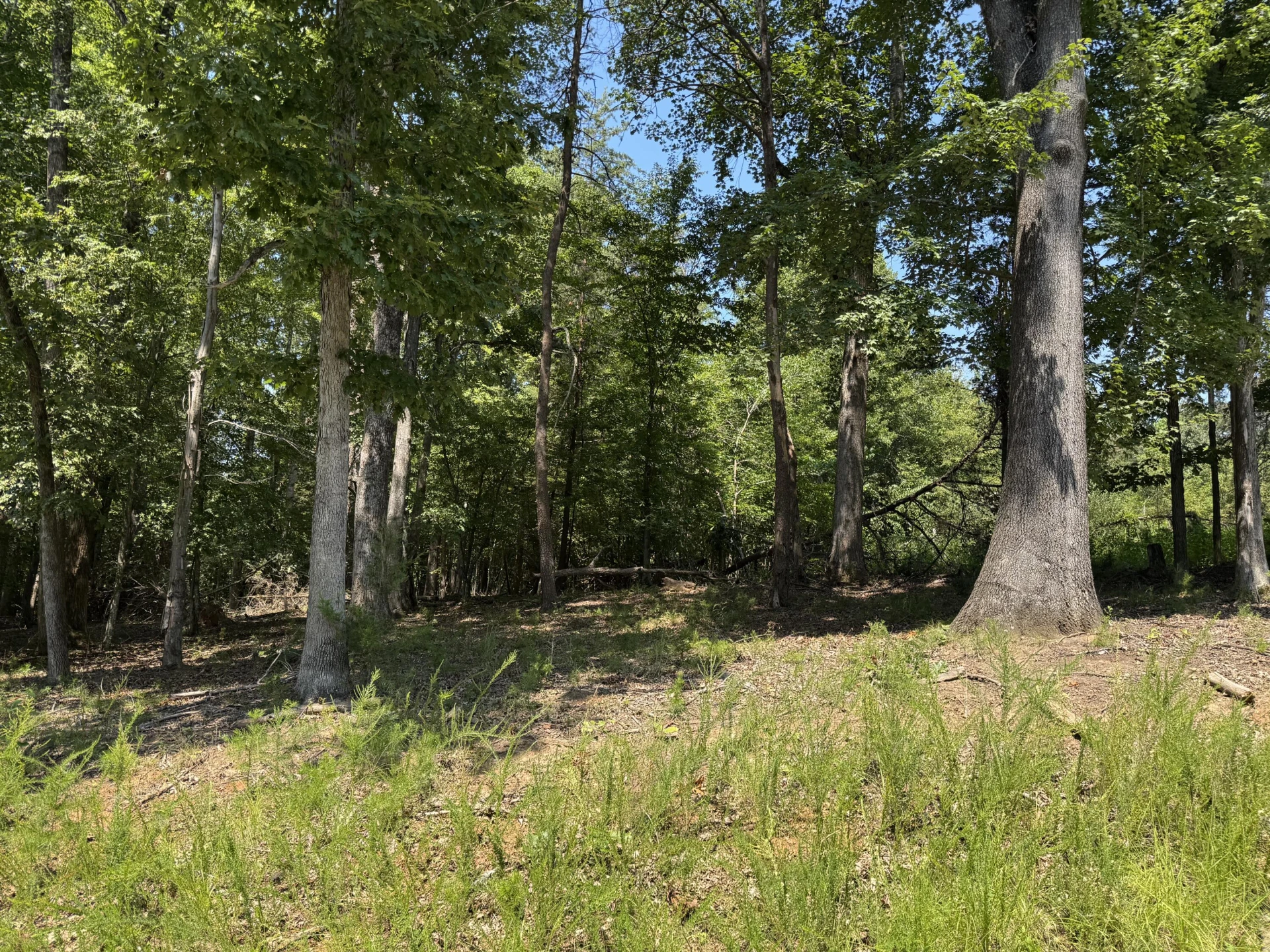 Lot 1 Red Barn LN - Photo 4