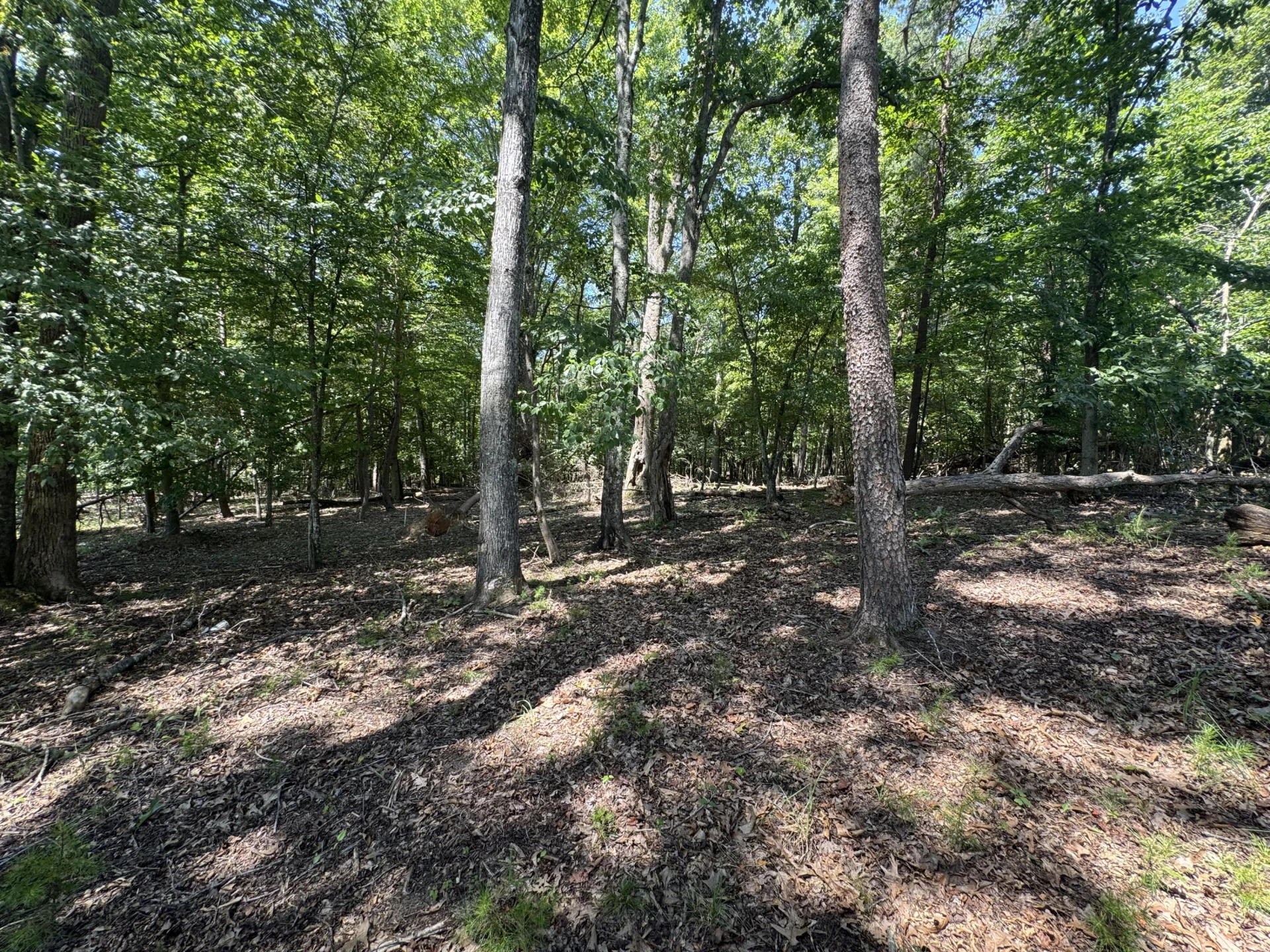 Lot 1 Red Barn LN - Photo 7