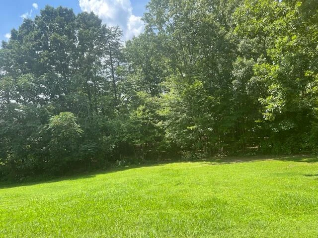 5771 Mountain Valley RD - Photo 10
