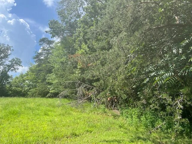 5771 Mountain Valley RD - Photo 12