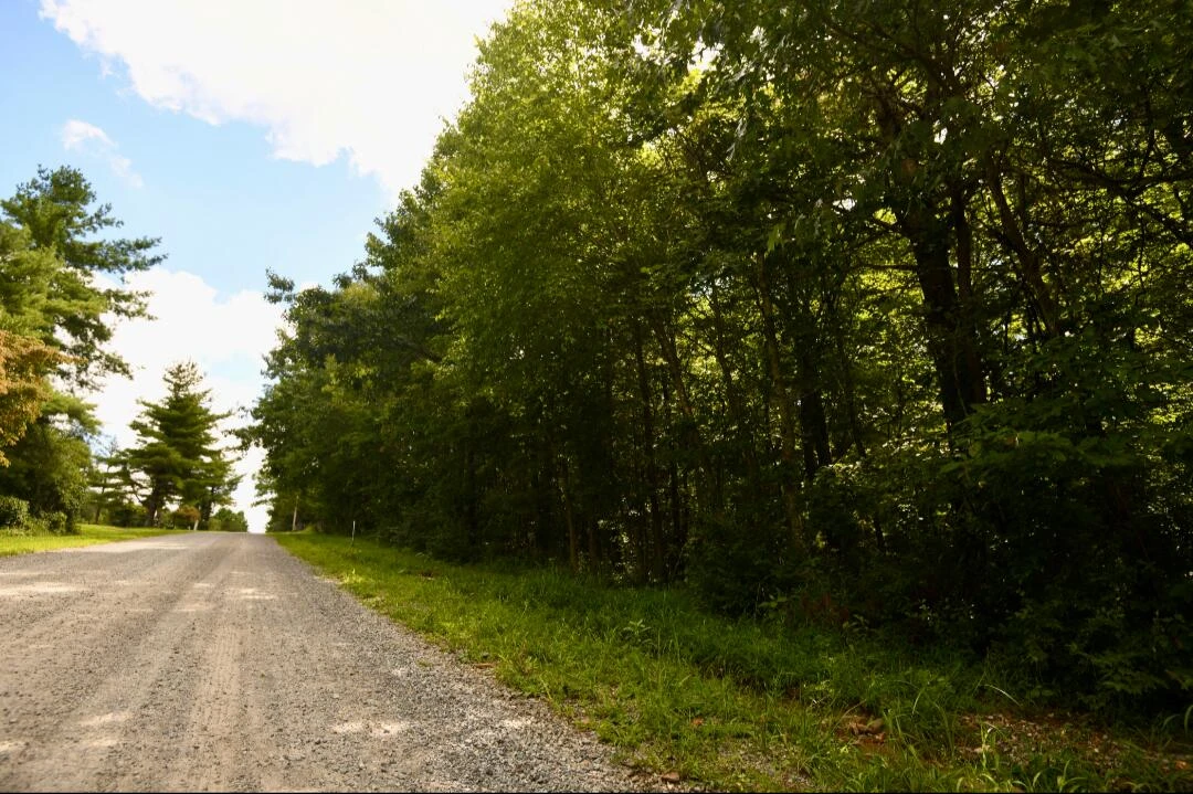 0 Ridge Oak DR - Photo 2