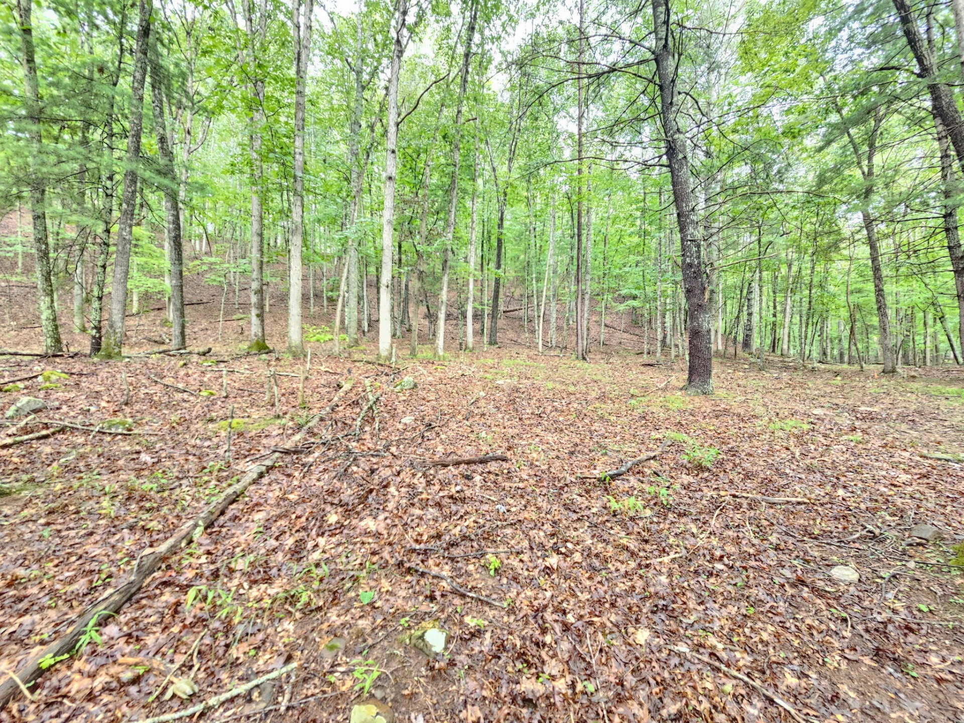 00 Johns Creek RD - Photo 8