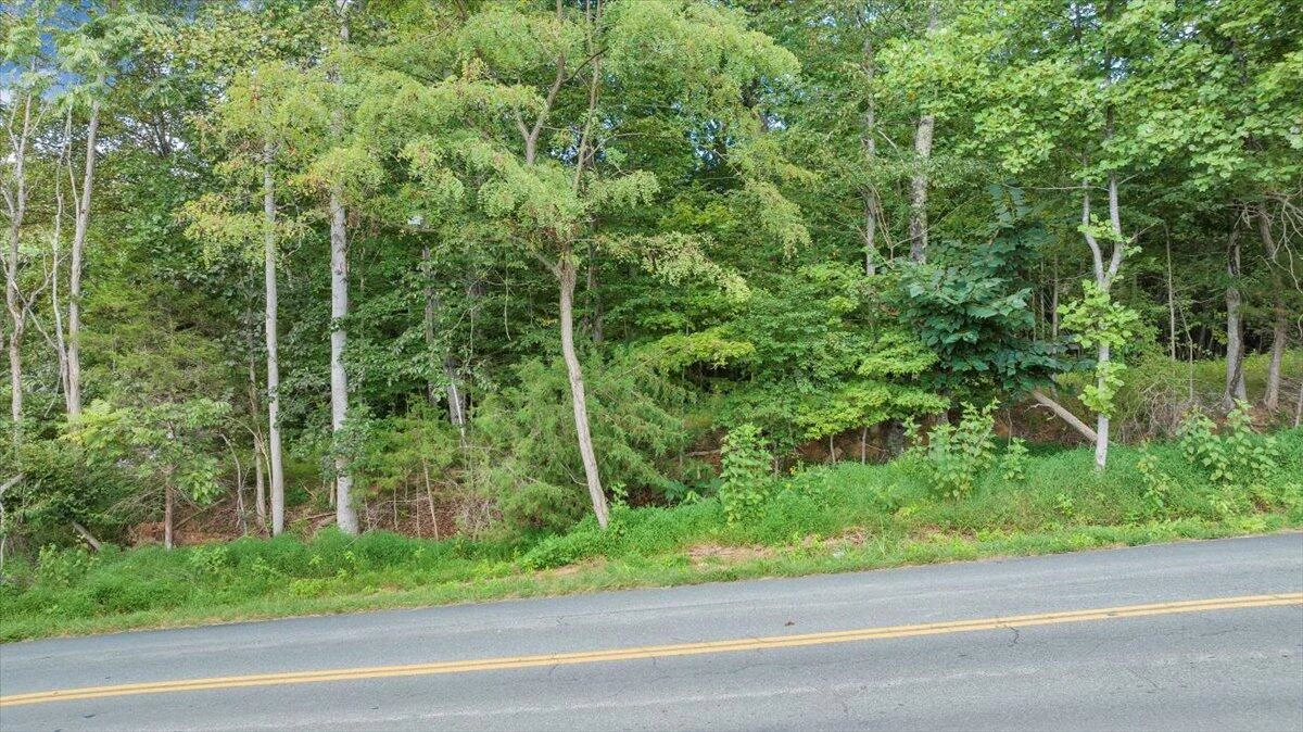 lot 8 Hickory Cove LN - Photo 32