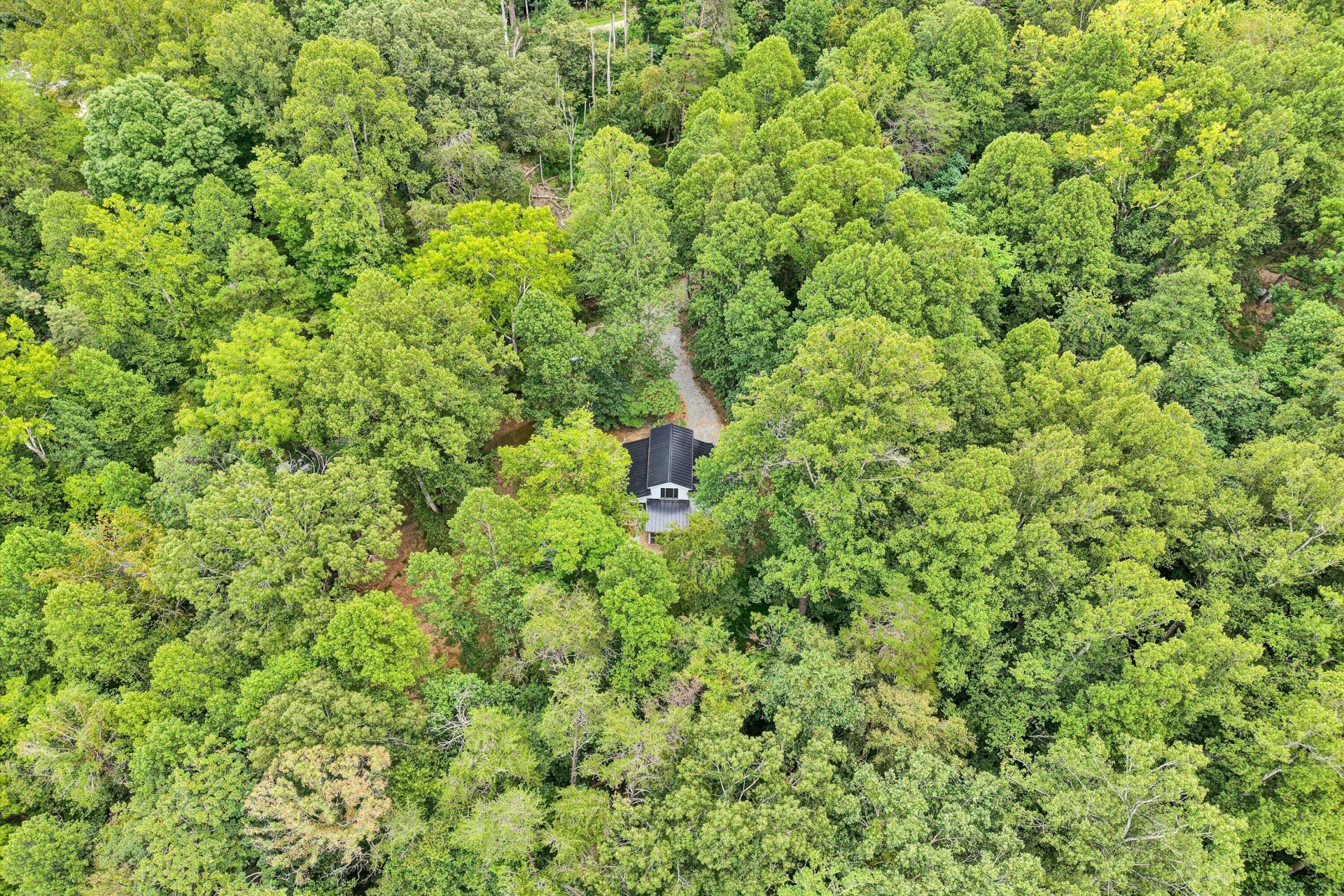295 Wysong Mill CIR - Photo 38
