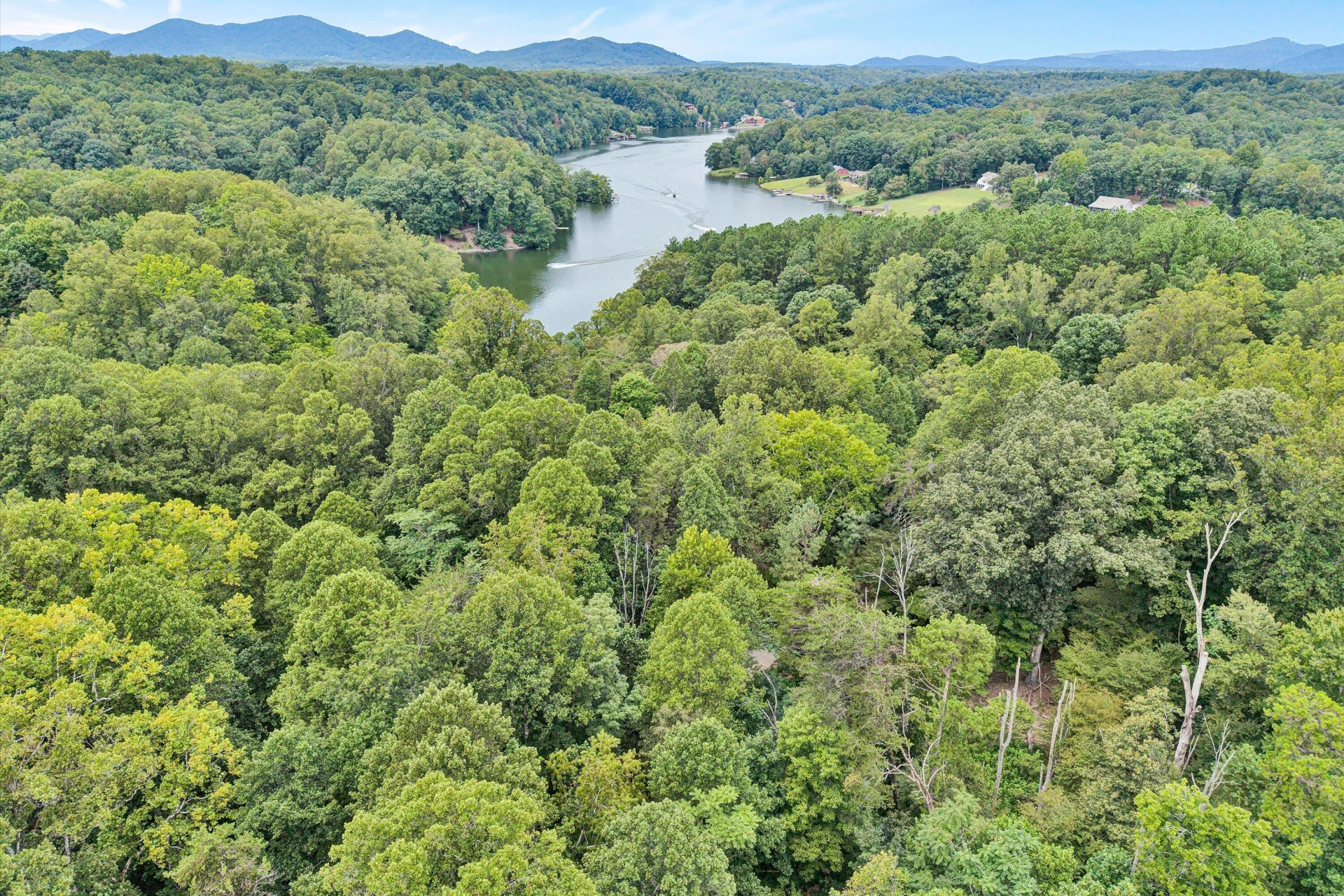 295 Wysong Mill CIR - Photo 47