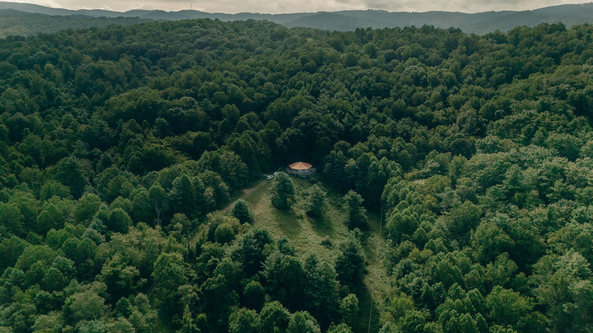 8780 Sugar Run RD - Photo 12