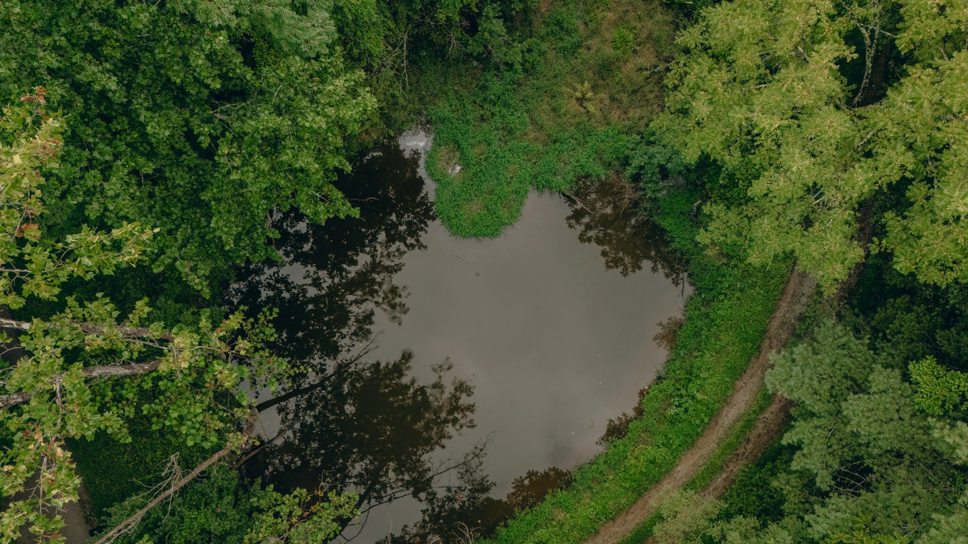 8780 Sugar Run RD - Photo 19