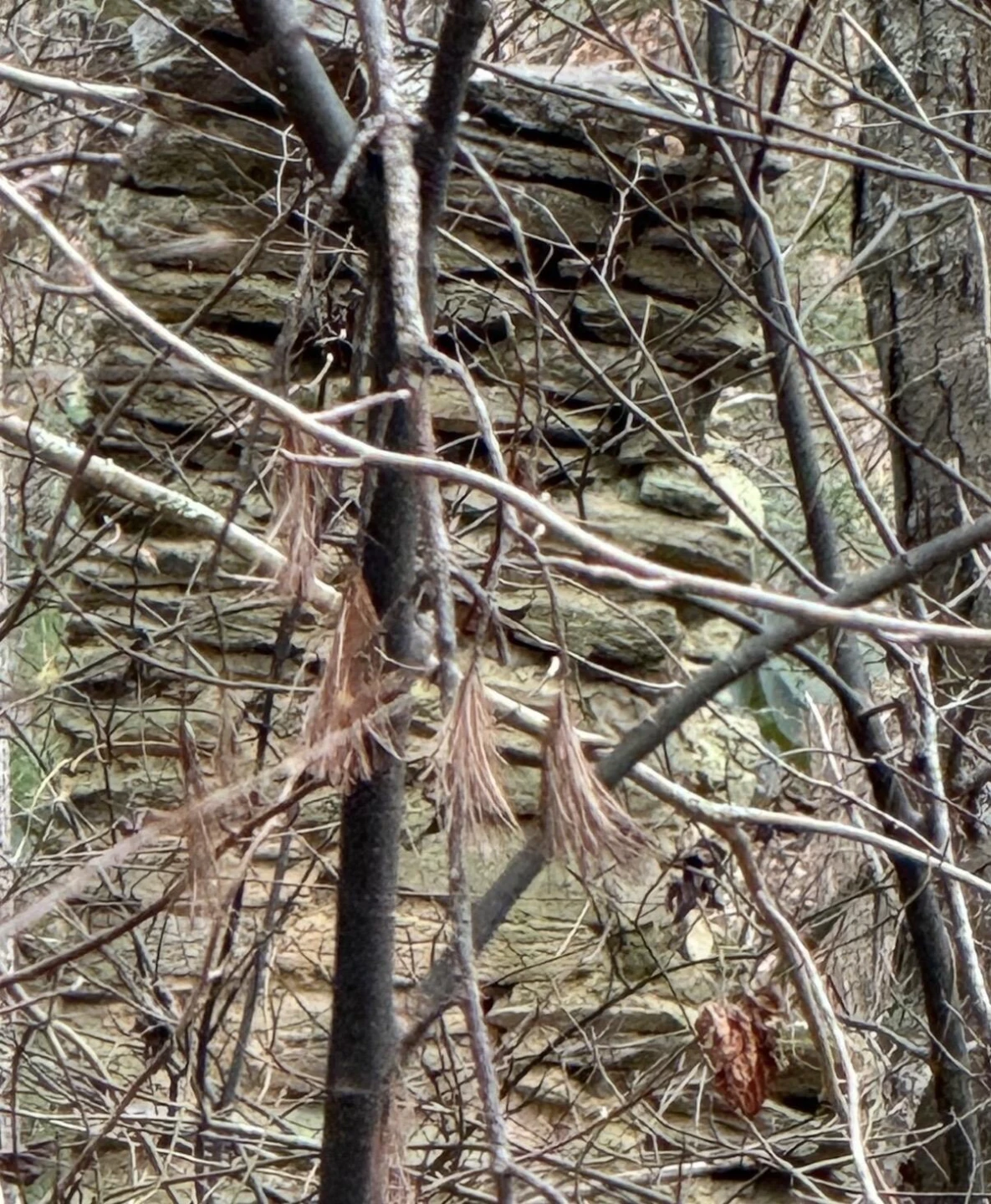 8780 Sugar Run RD - Photo 25