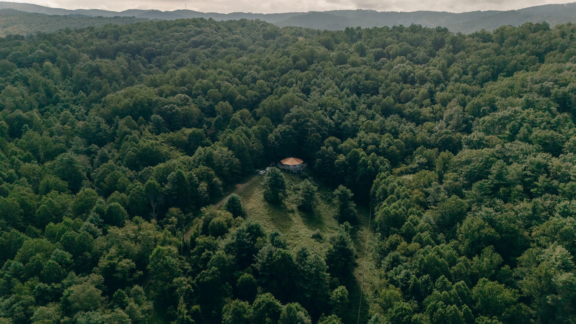 8780 Sugar Run RD - Photo 4