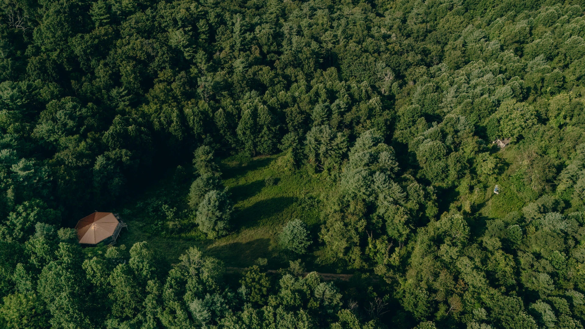 8780 Sugar Run RD - Photo 6