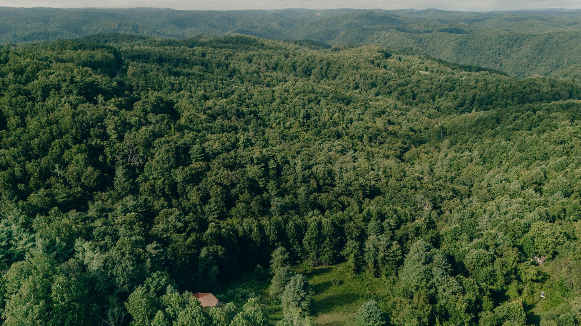 8780 Sugar Run RD - Photo 7