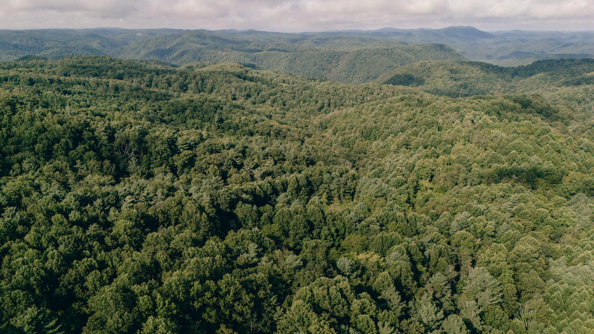 8780 Sugar Run RD - Photo 8