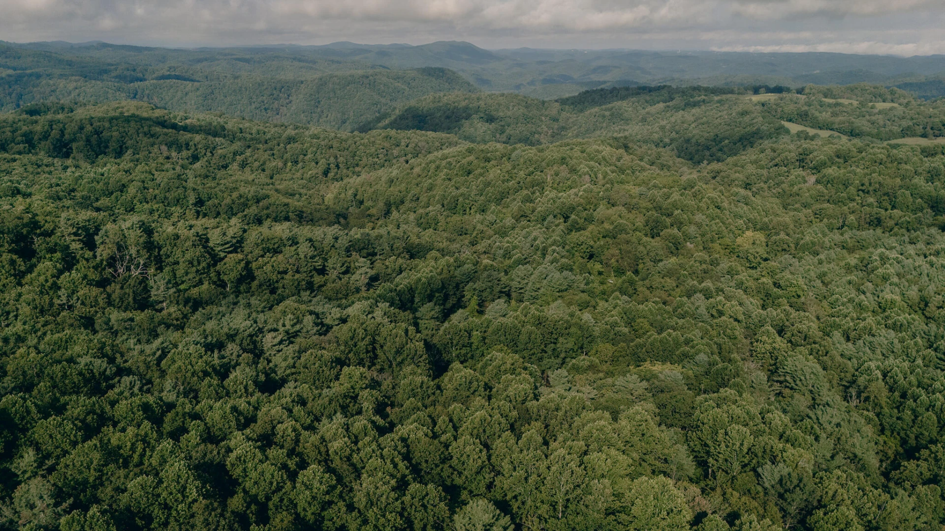 8780 Sugar Run RD - Photo 9