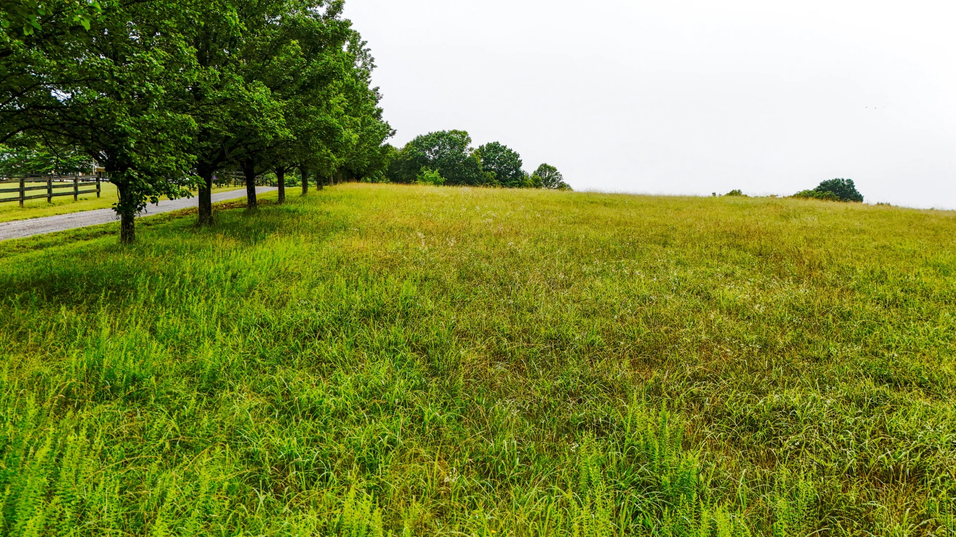 0 Ayers RD - Photo 11