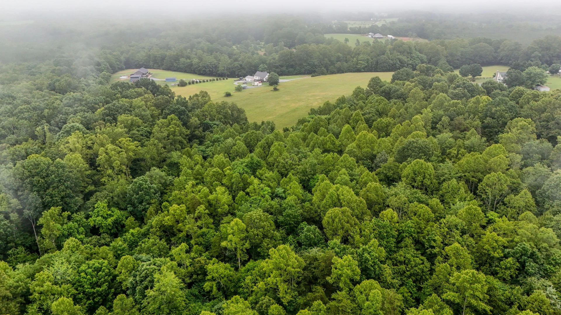 0 Ayers RD - Photo 6