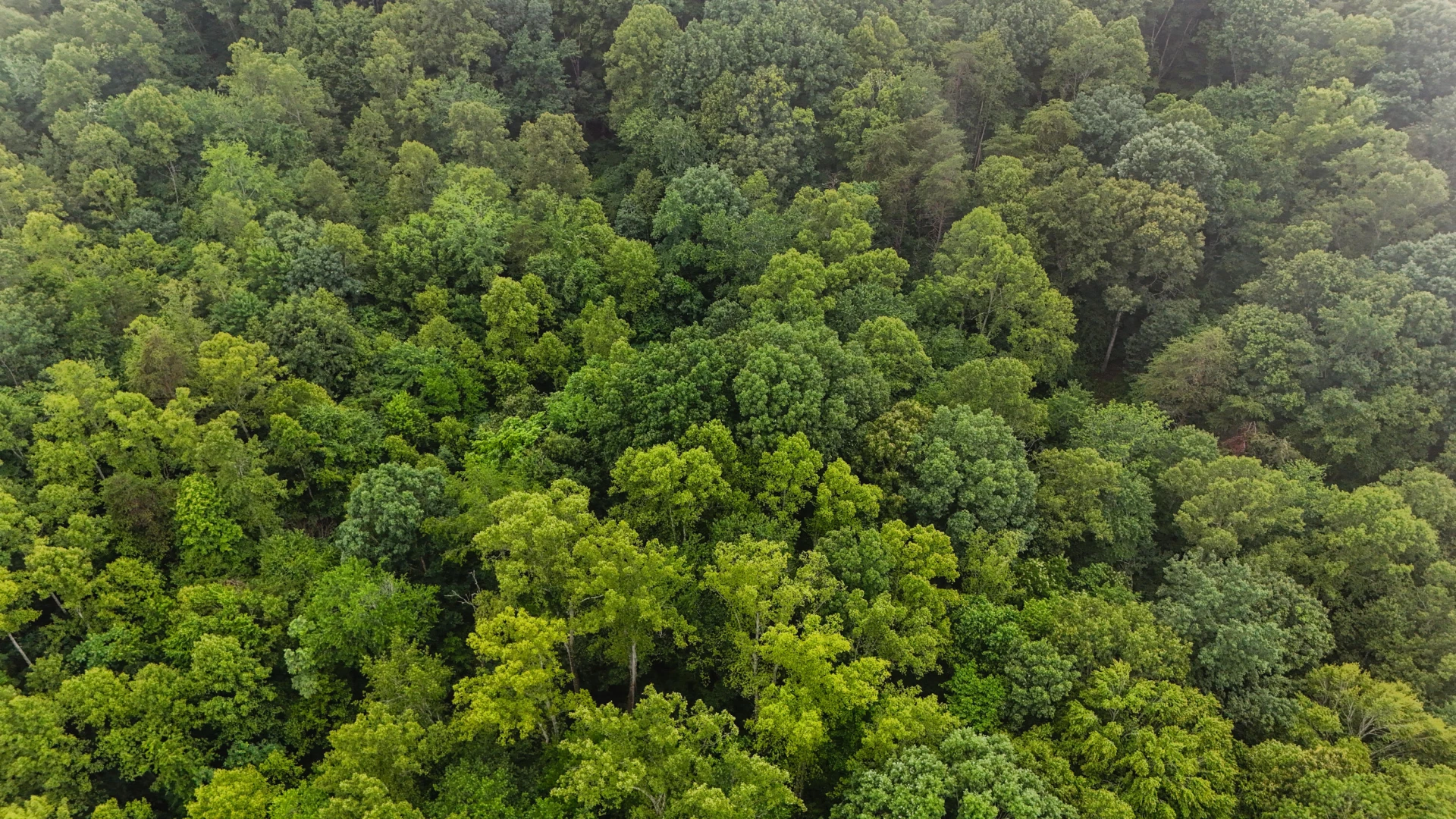 0 Ayers RD - Photo 8