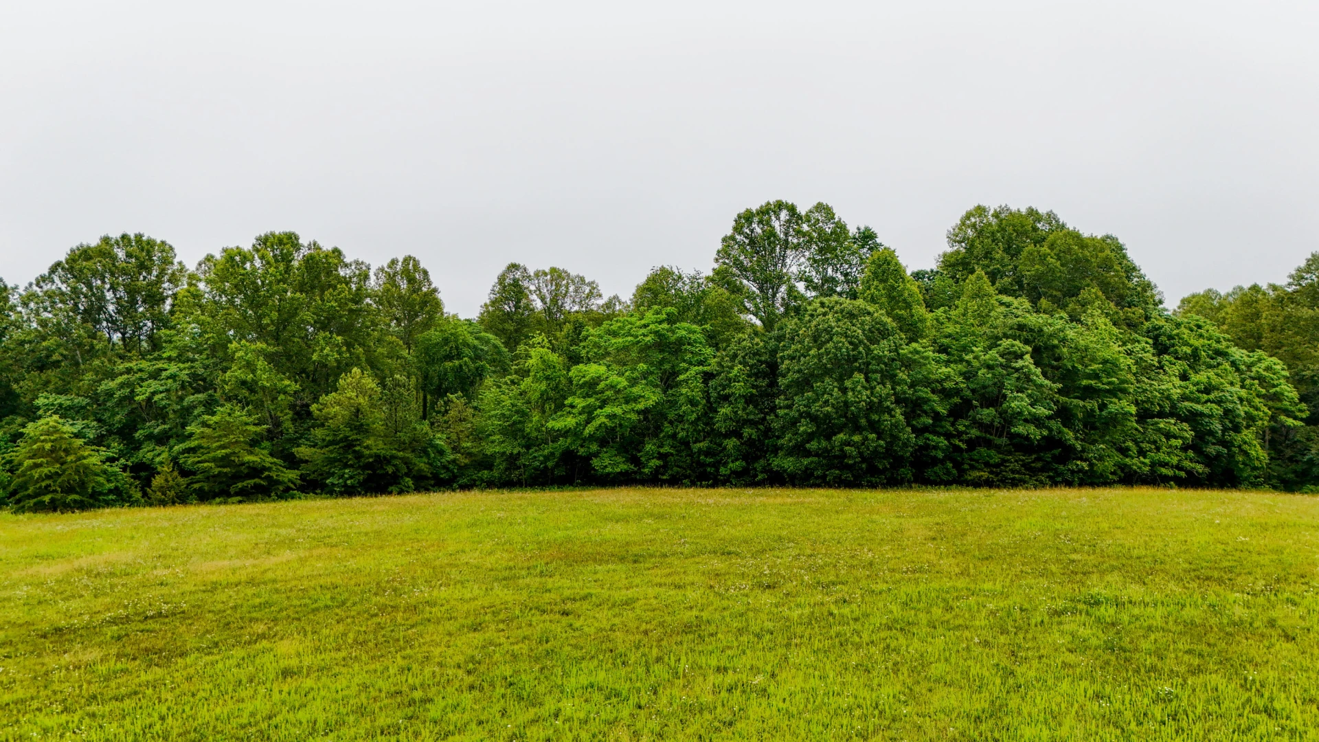 0 Ayers RD - Photo 9