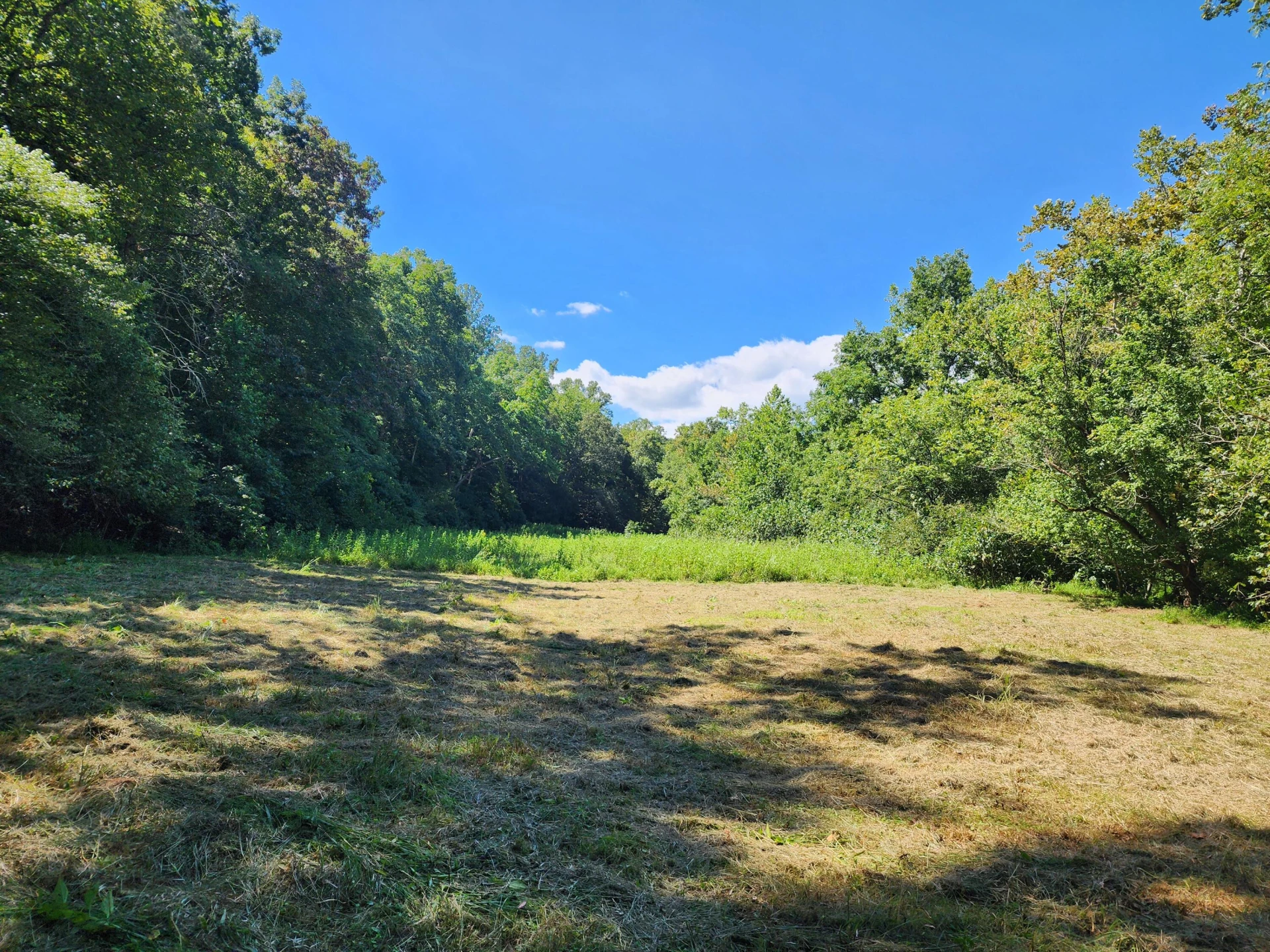 Lot 6 Big River CIR - Photo 3