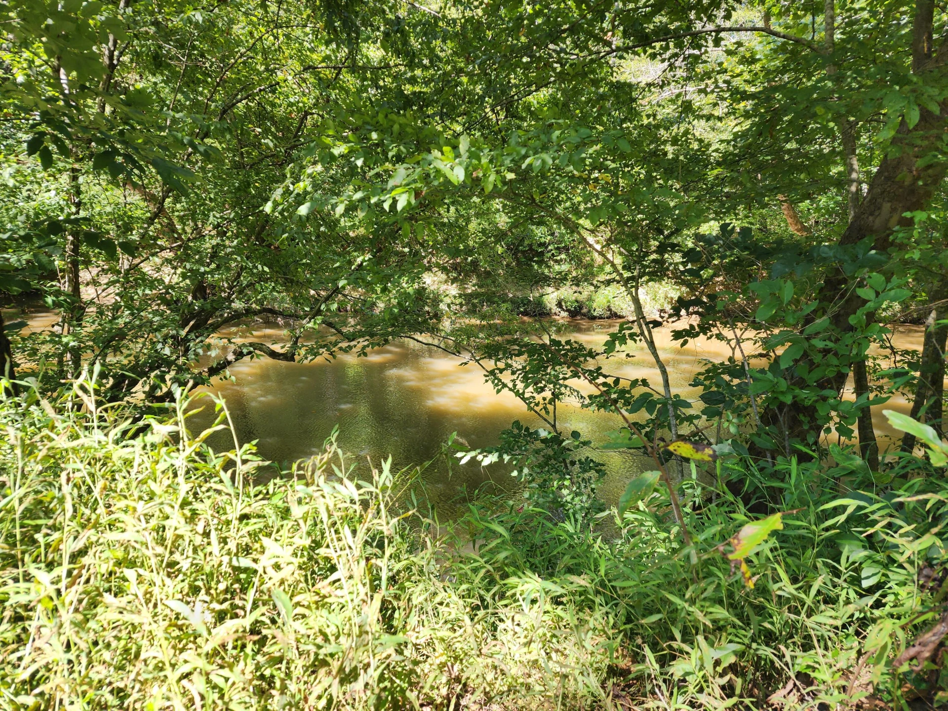 Lot 6 Big River CIR - Photo 5
