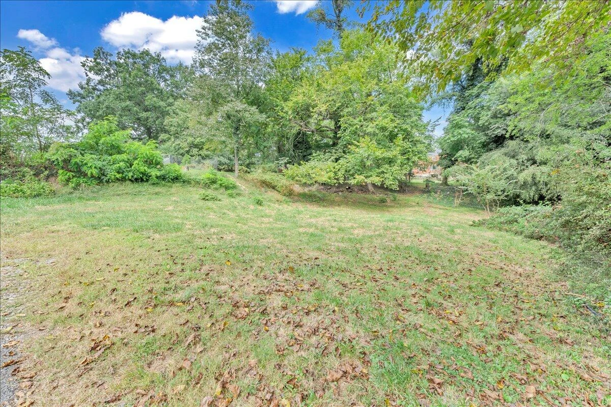2523 Brambleton AVE - Photo 54