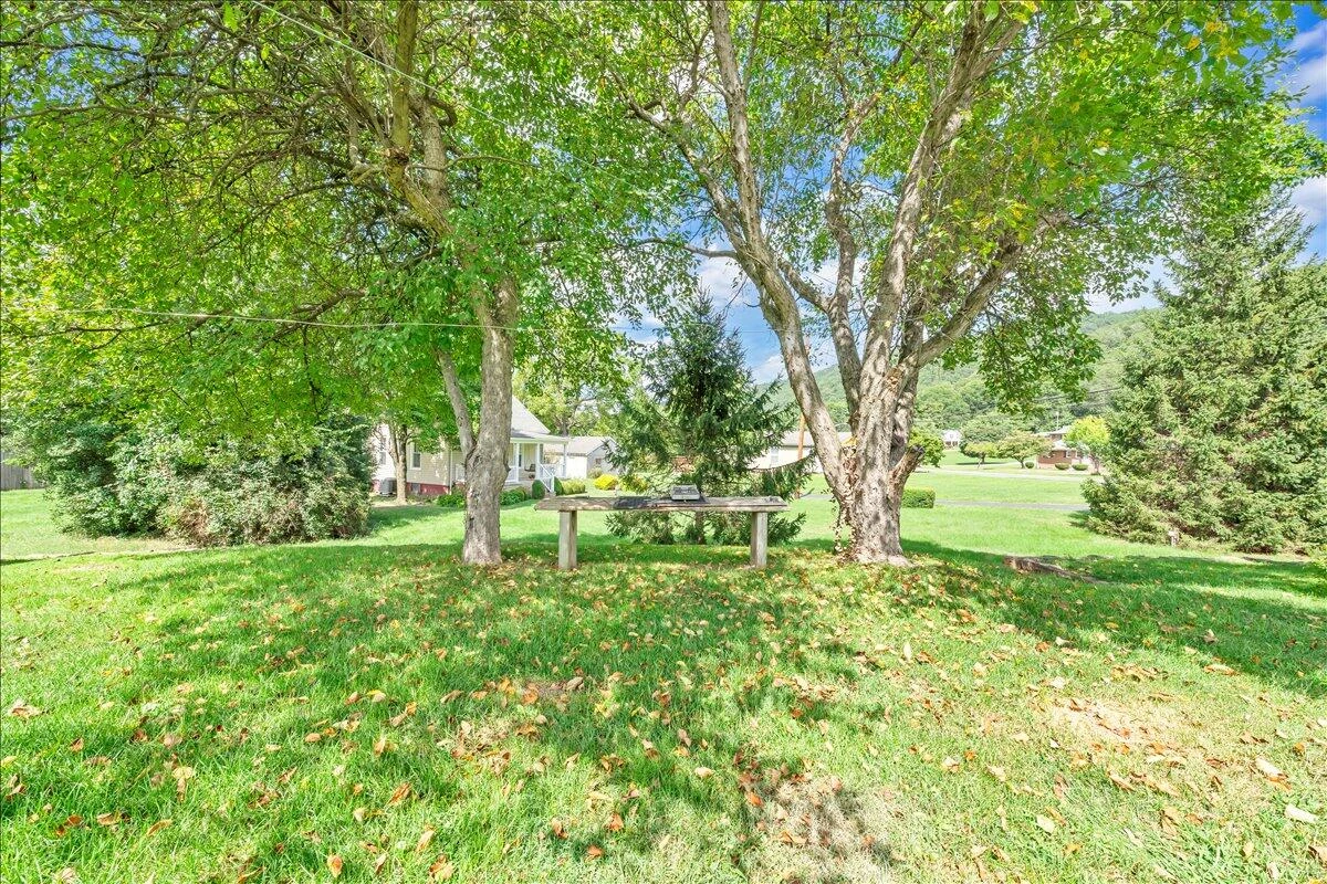 1312 Alleghany AVE - Photo 19