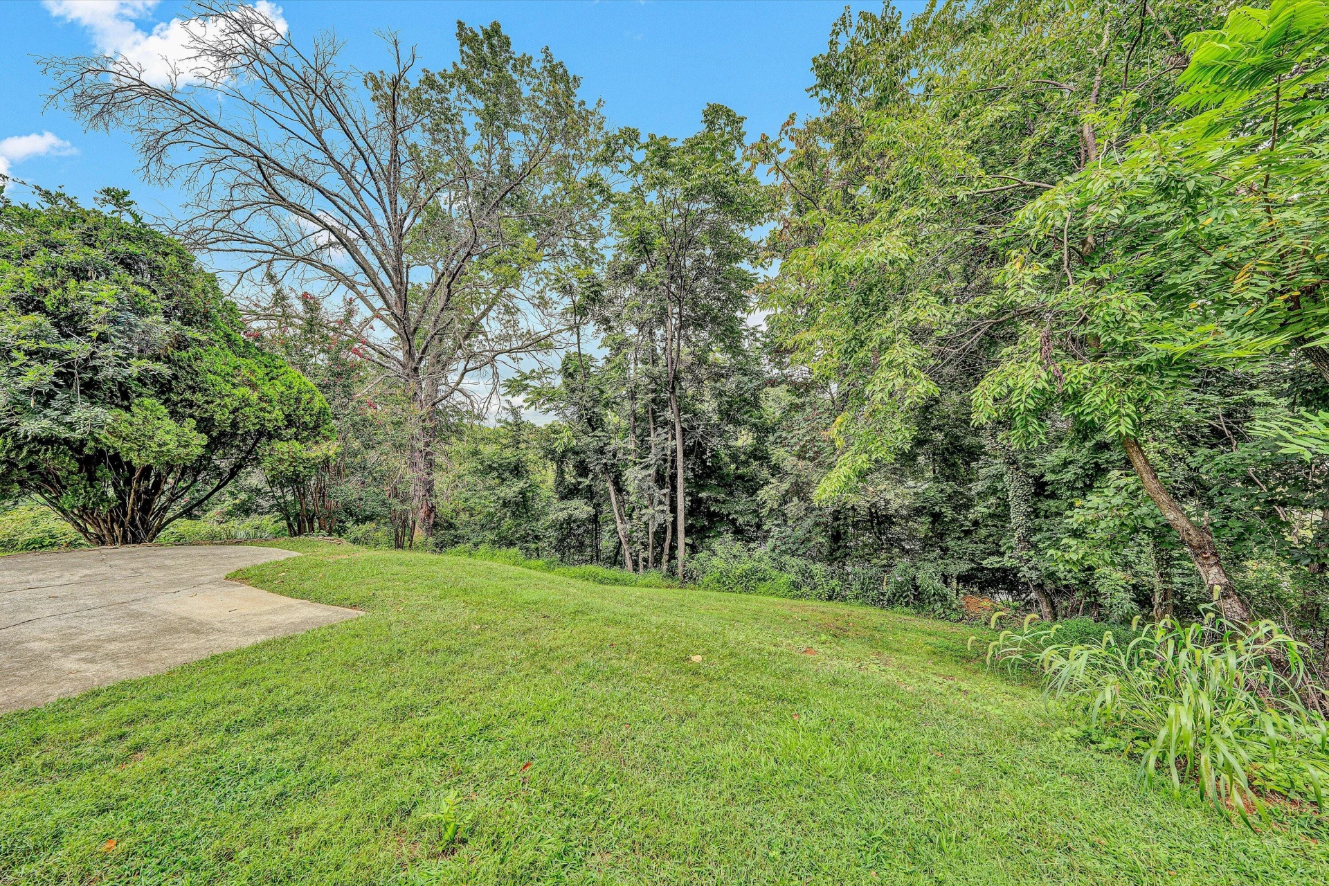 537 Dillard RD - Photo 30