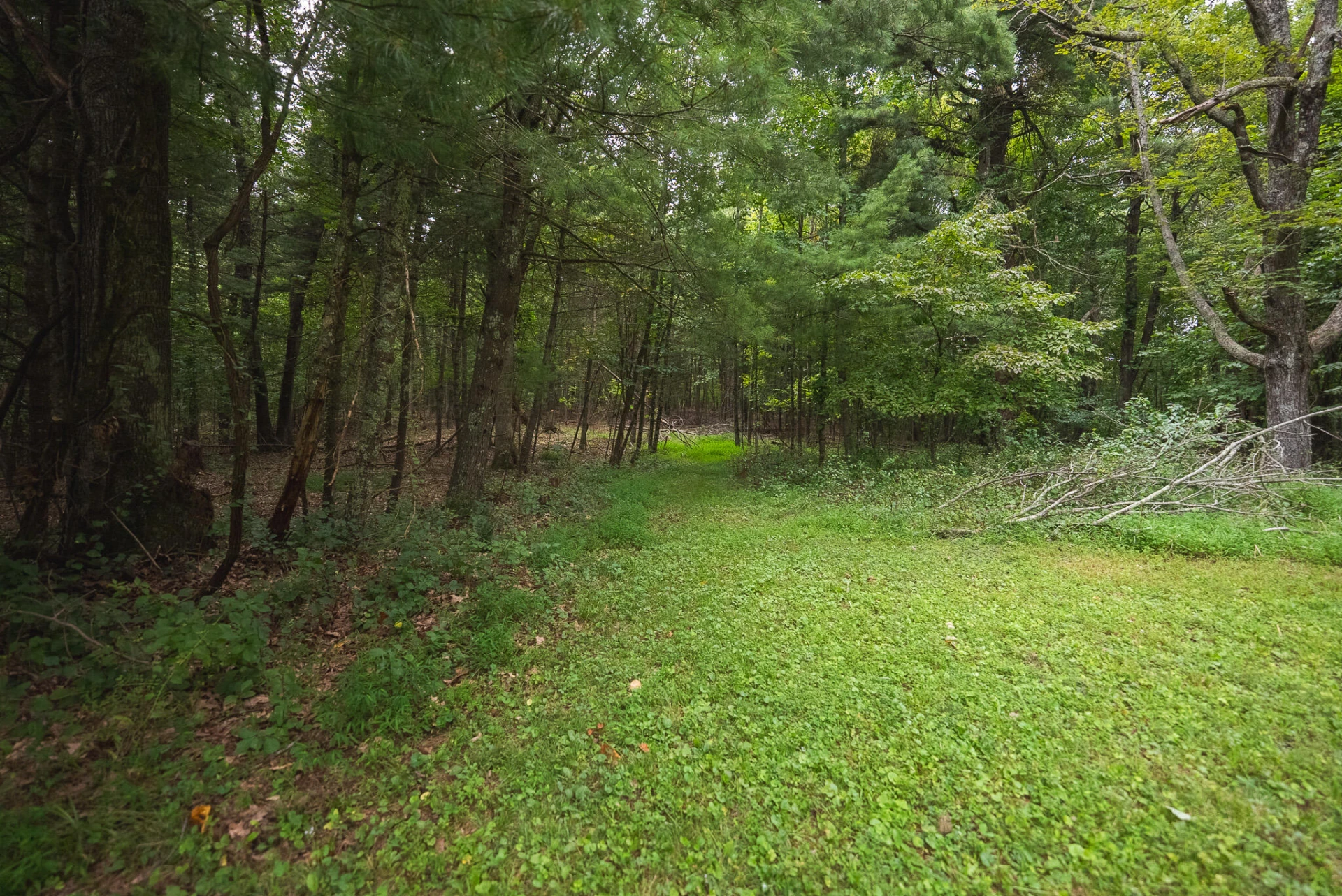 788 Jacks Mill RD - Photo 54