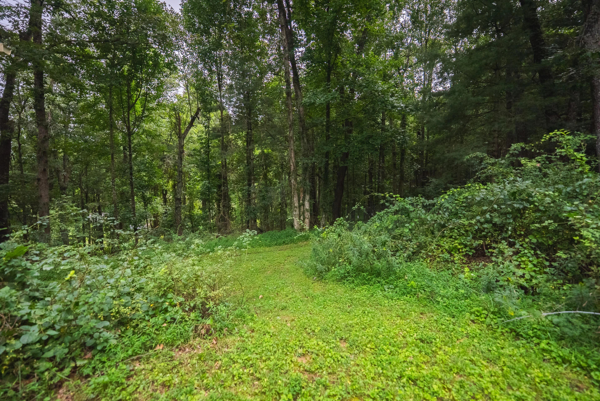 788 Jacks Mill RD - Photo 55