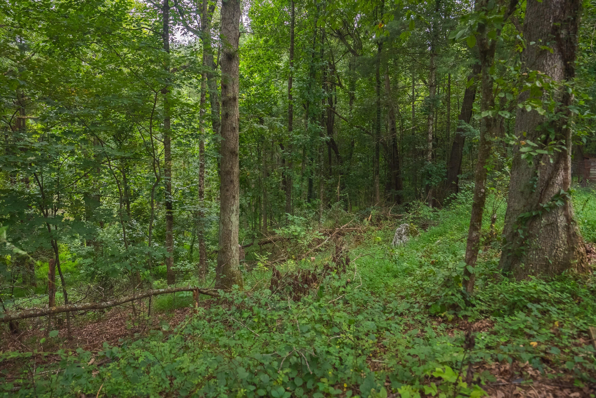 788 Jacks Mill RD - Photo 60