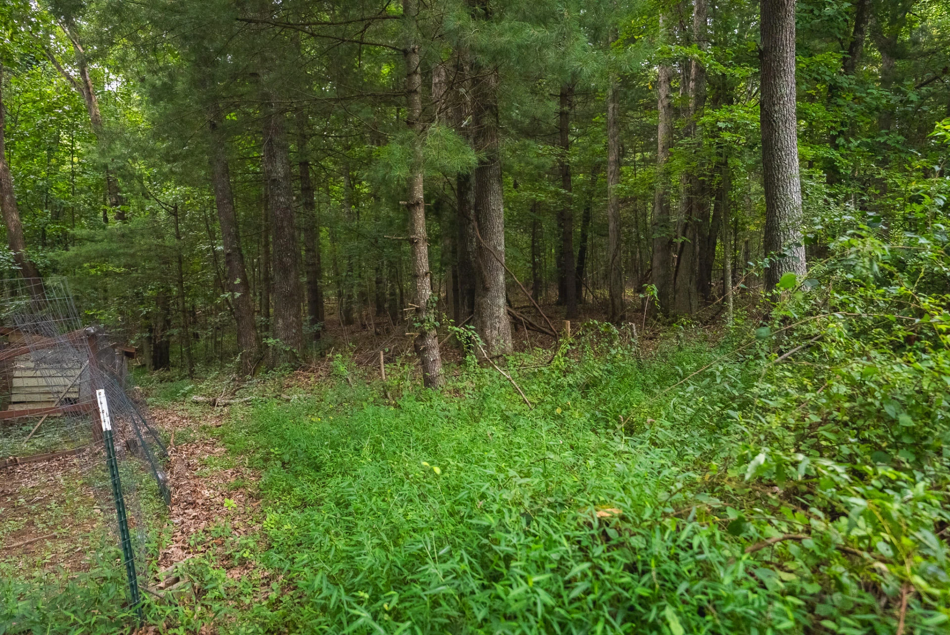 788 Jacks Mill RD - Photo 61