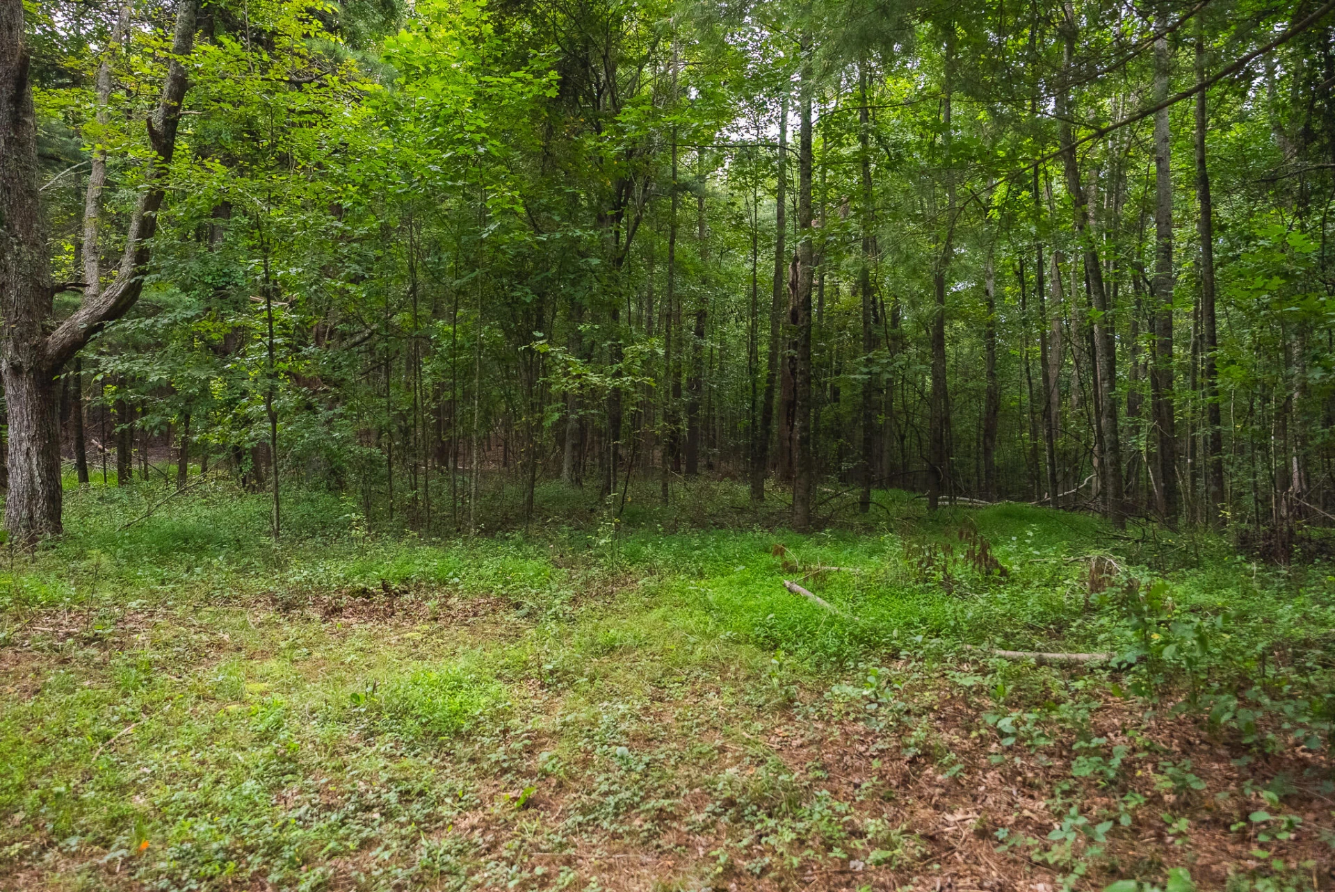 788 Jacks Mill RD - Photo 63