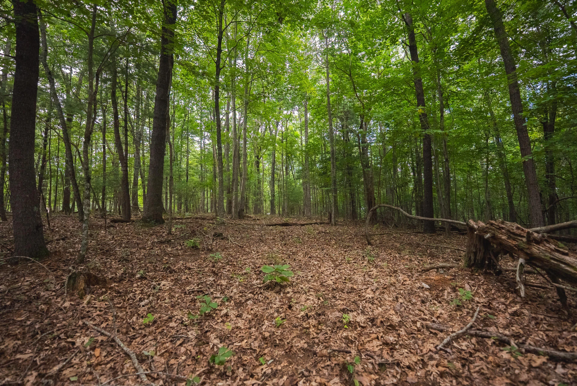 788 Jacks Mill RD - Photo 64
