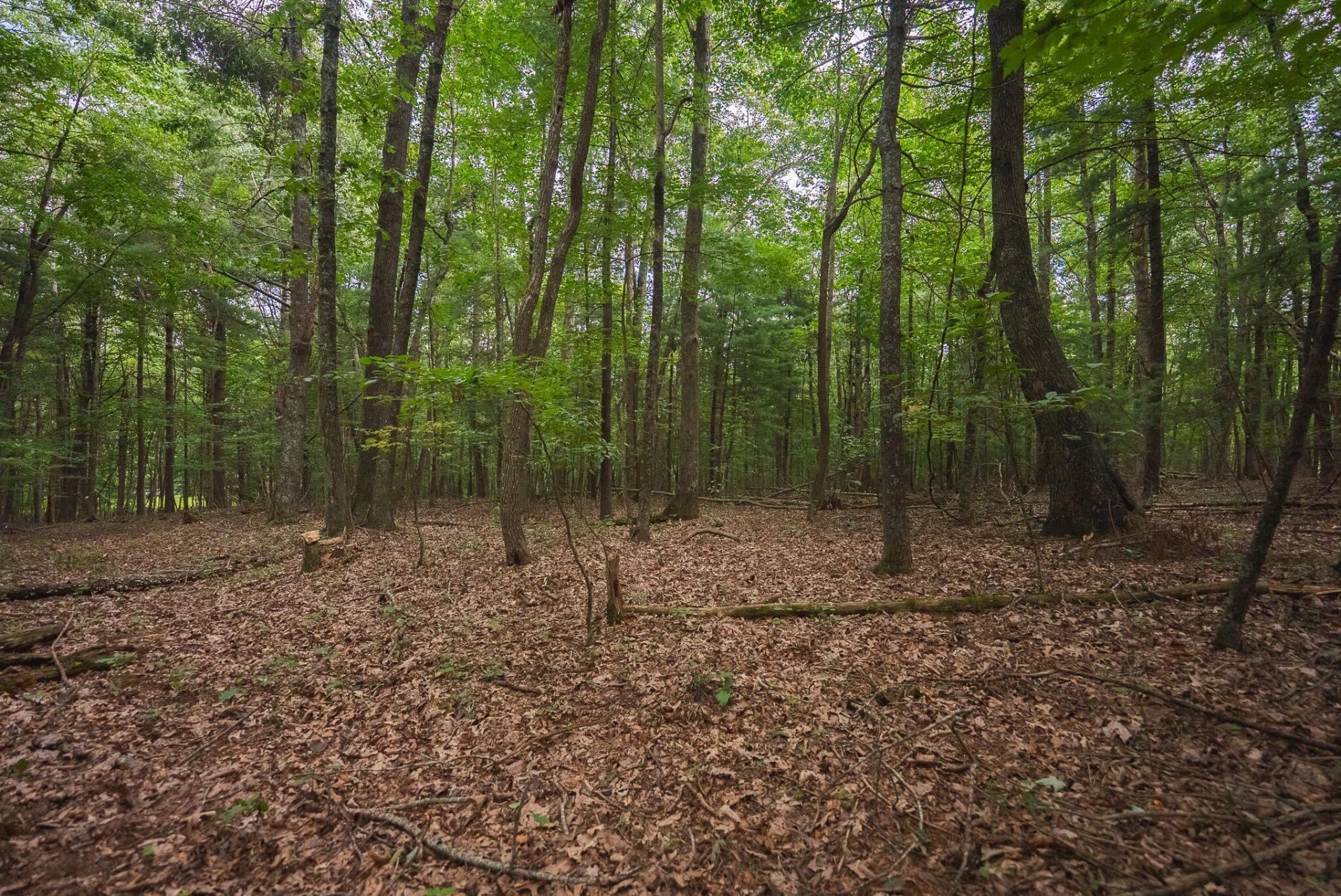 788 Jacks Mill RD - Photo 66