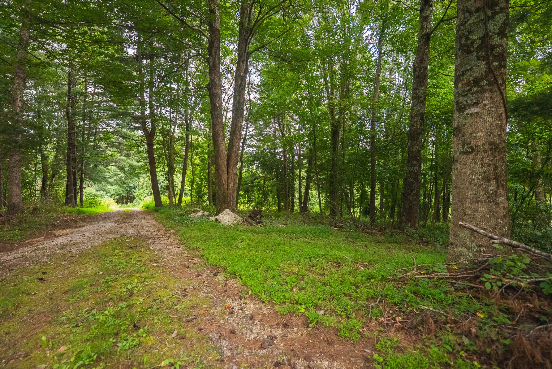 788 Jacks Mill RD - Photo 70