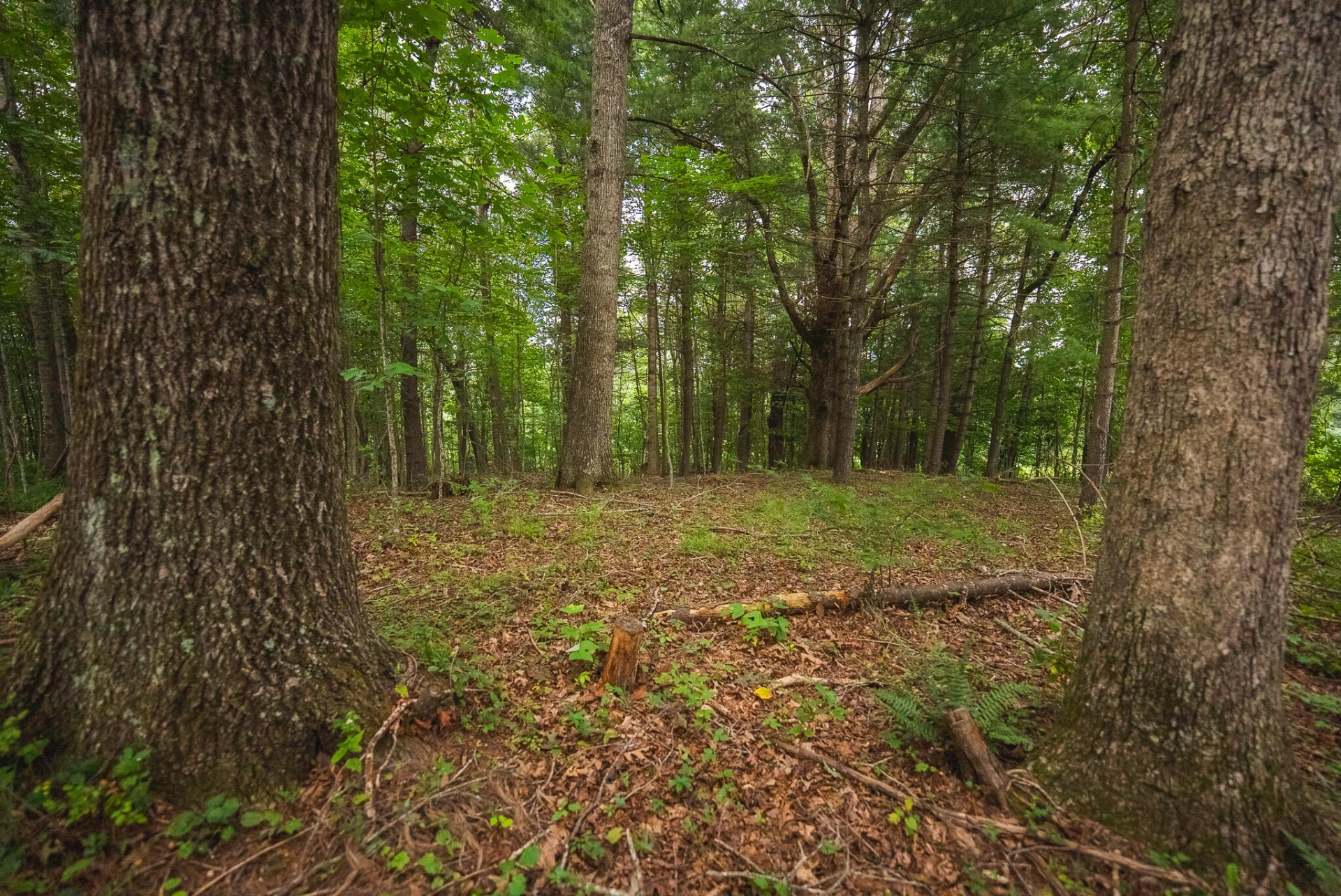 788 Jacks Mill RD - Photo 72