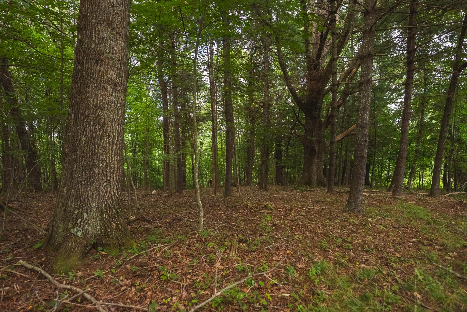 788 Jacks Mill RD - Photo 73