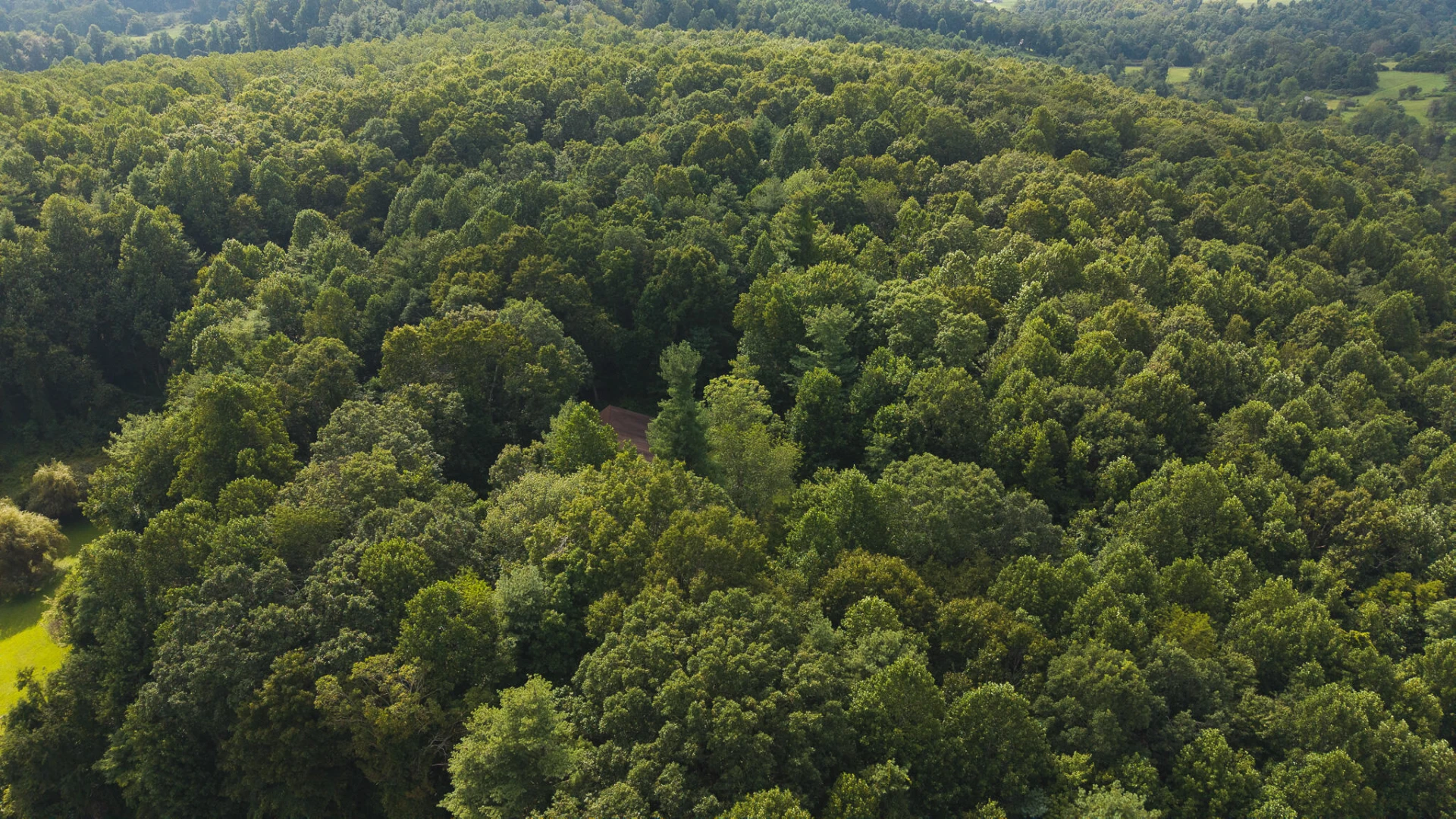 788 Jacks Mill RD - Photo 8