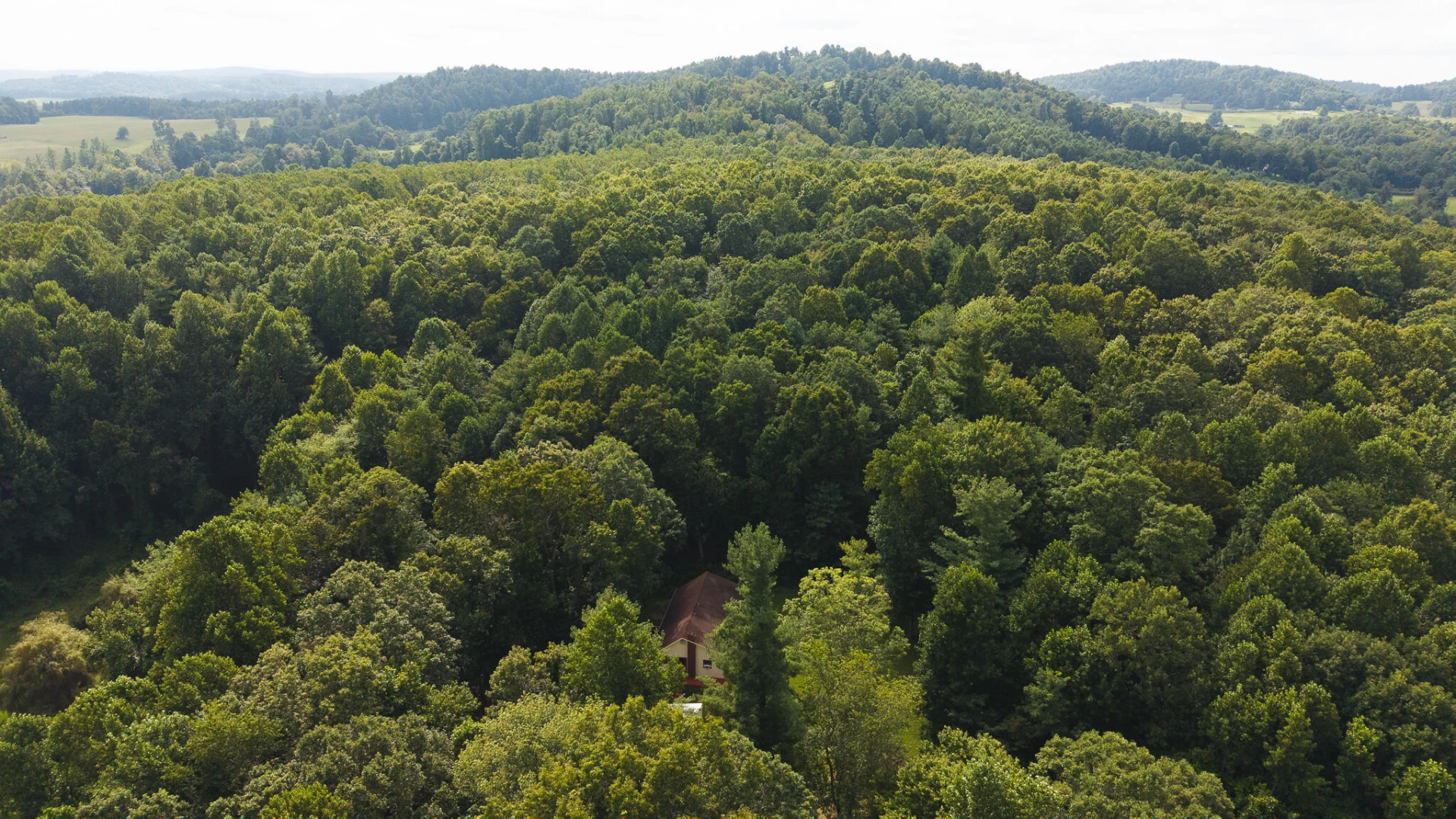 788 Jacks Mill RD - Photo 9