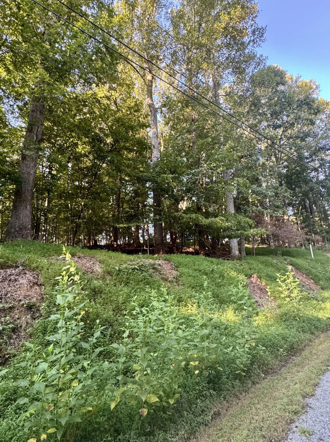 Lot 39 Lakecrest DR - Photo 3