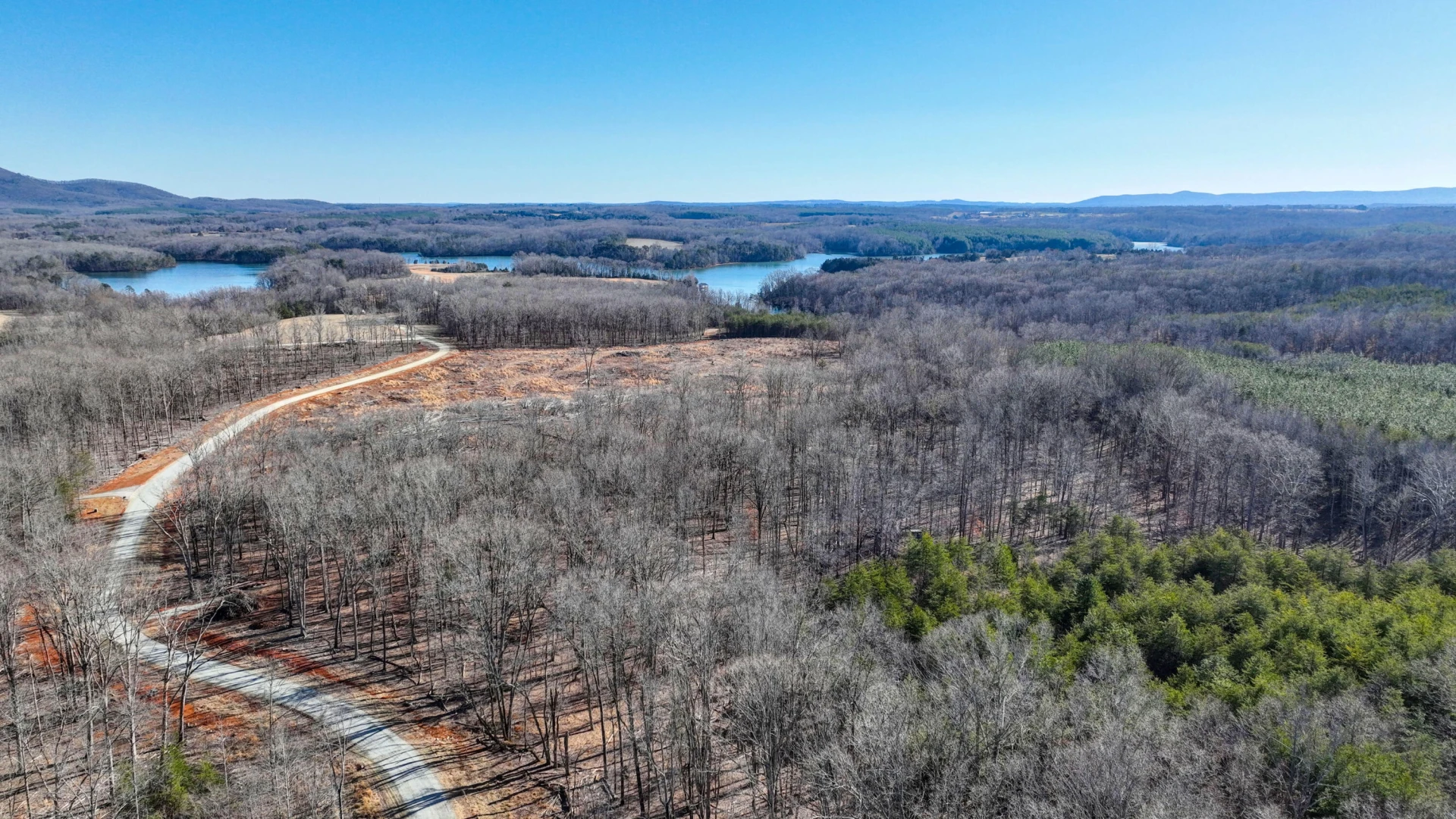 Lot 32 Hidden Treasures LN - Photo 10