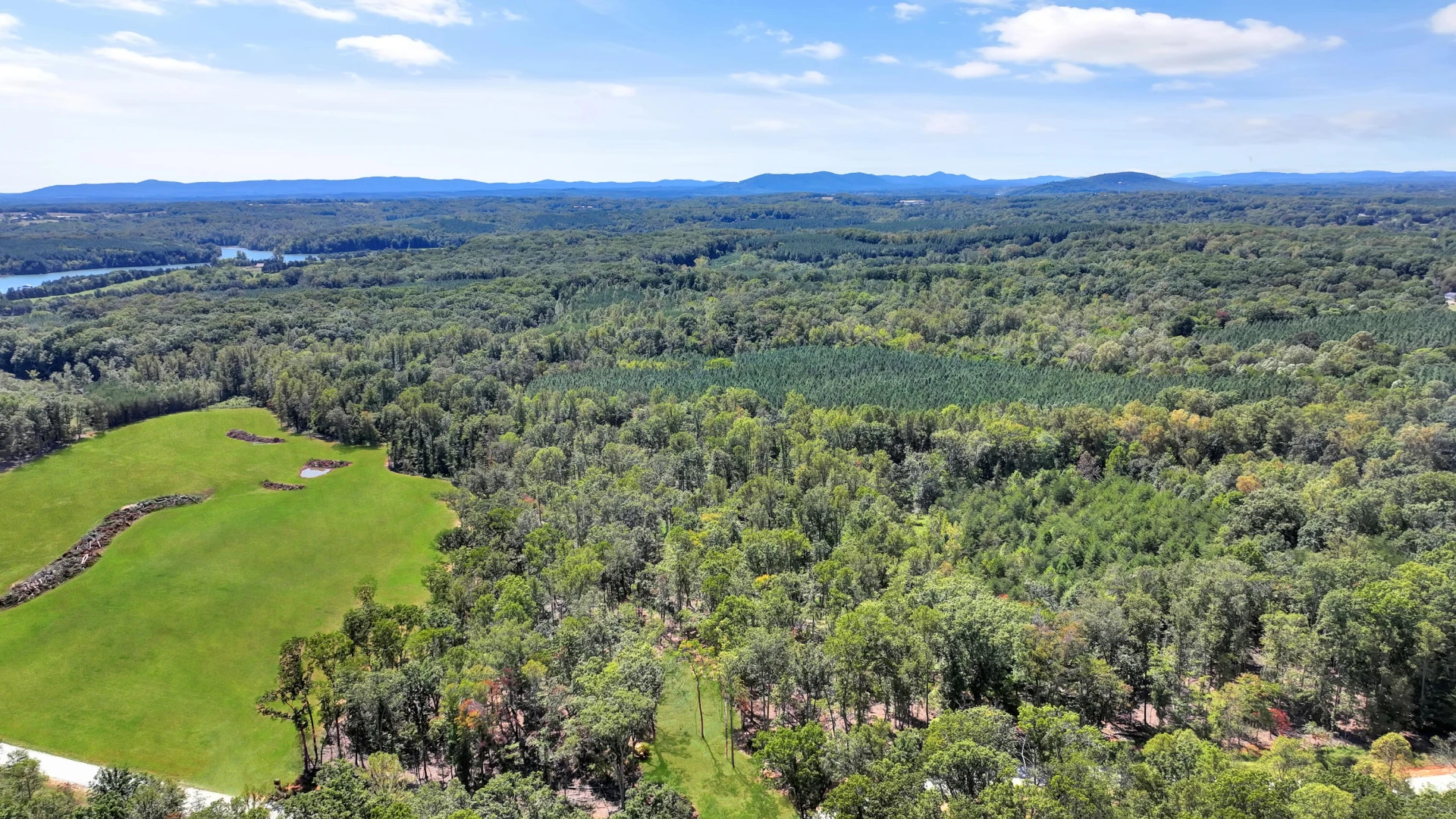 Lot 32 Hidden Treasures LN - Photo 3